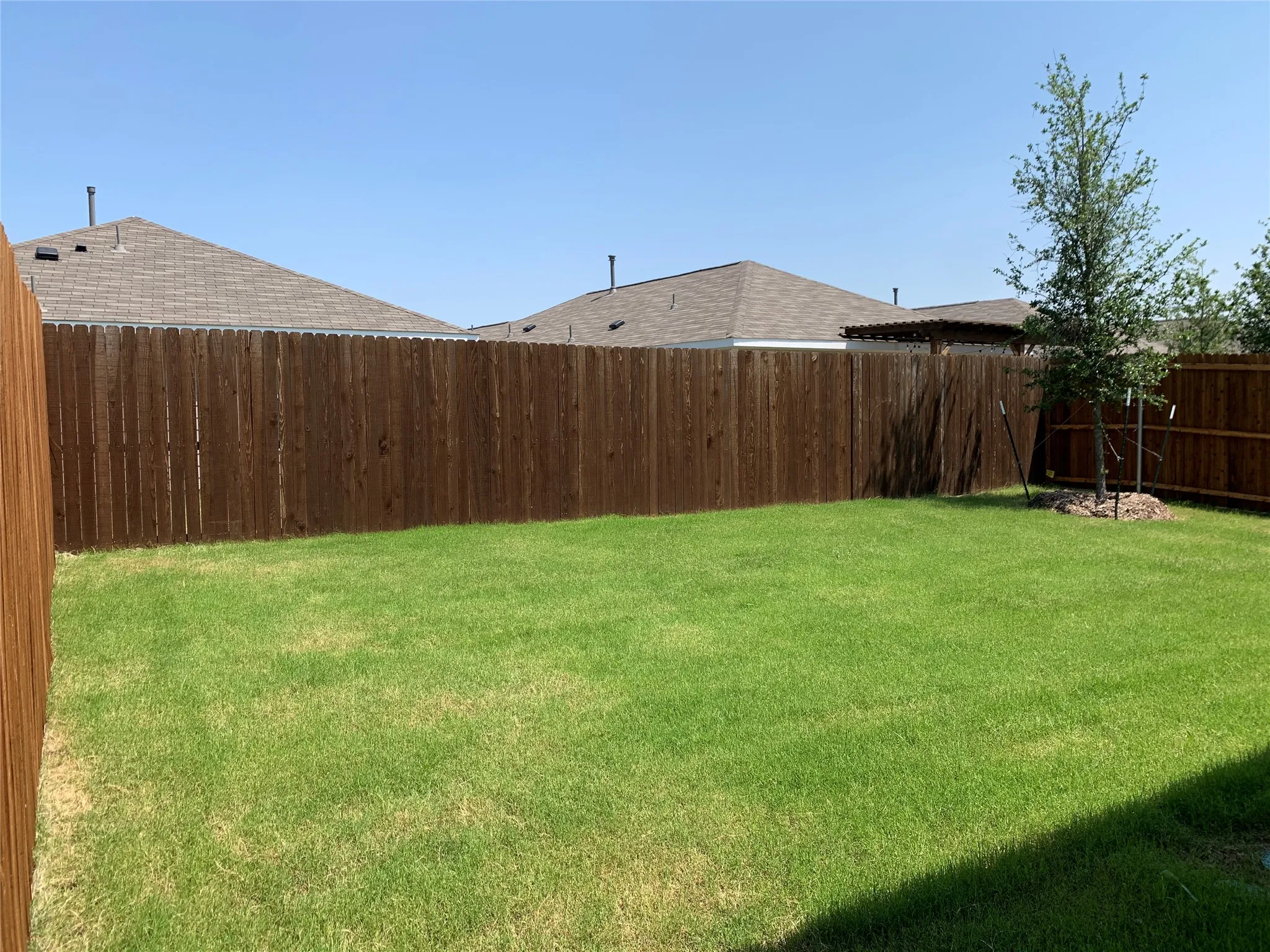 View of large back yard