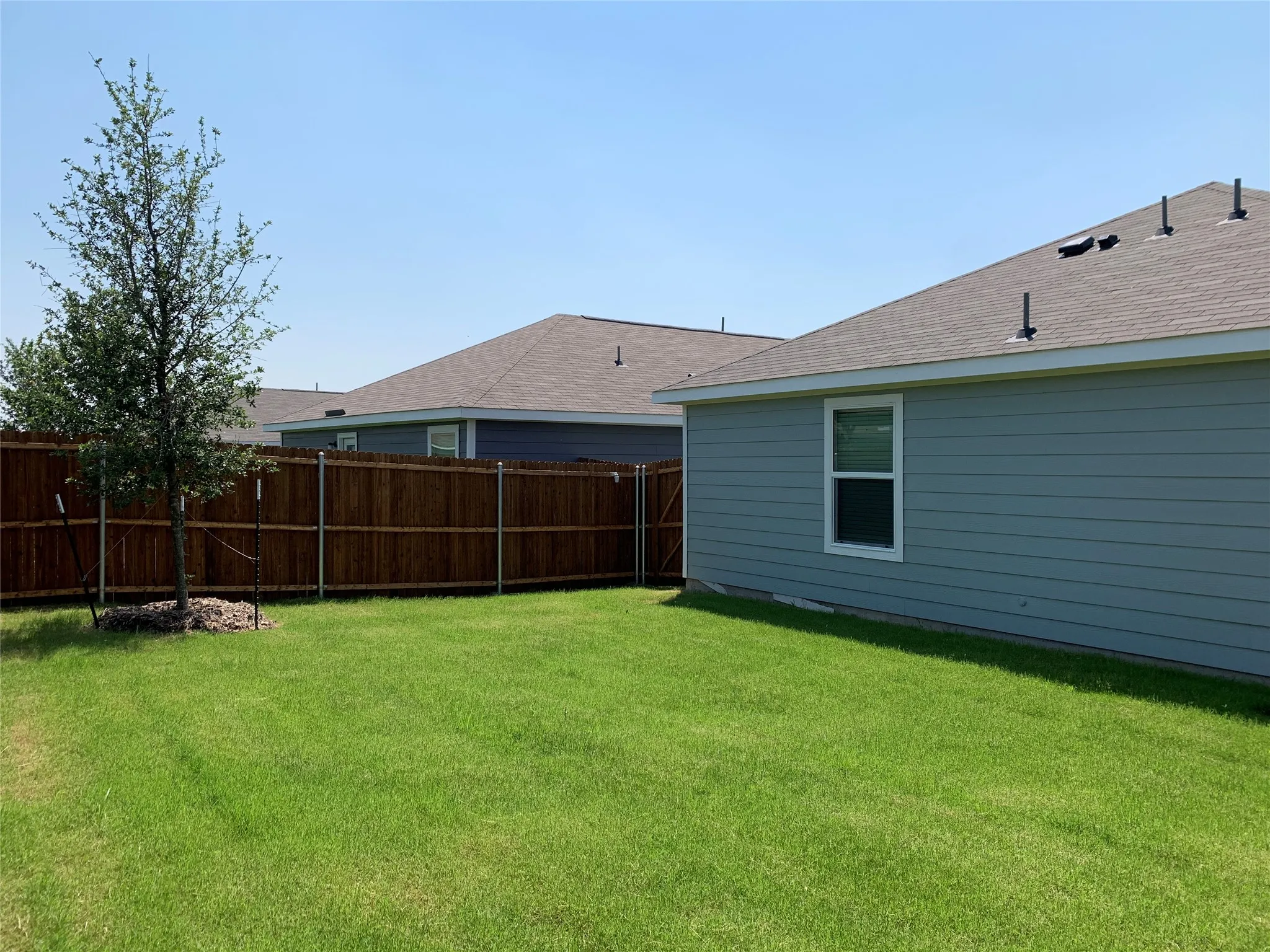 View of large back yard