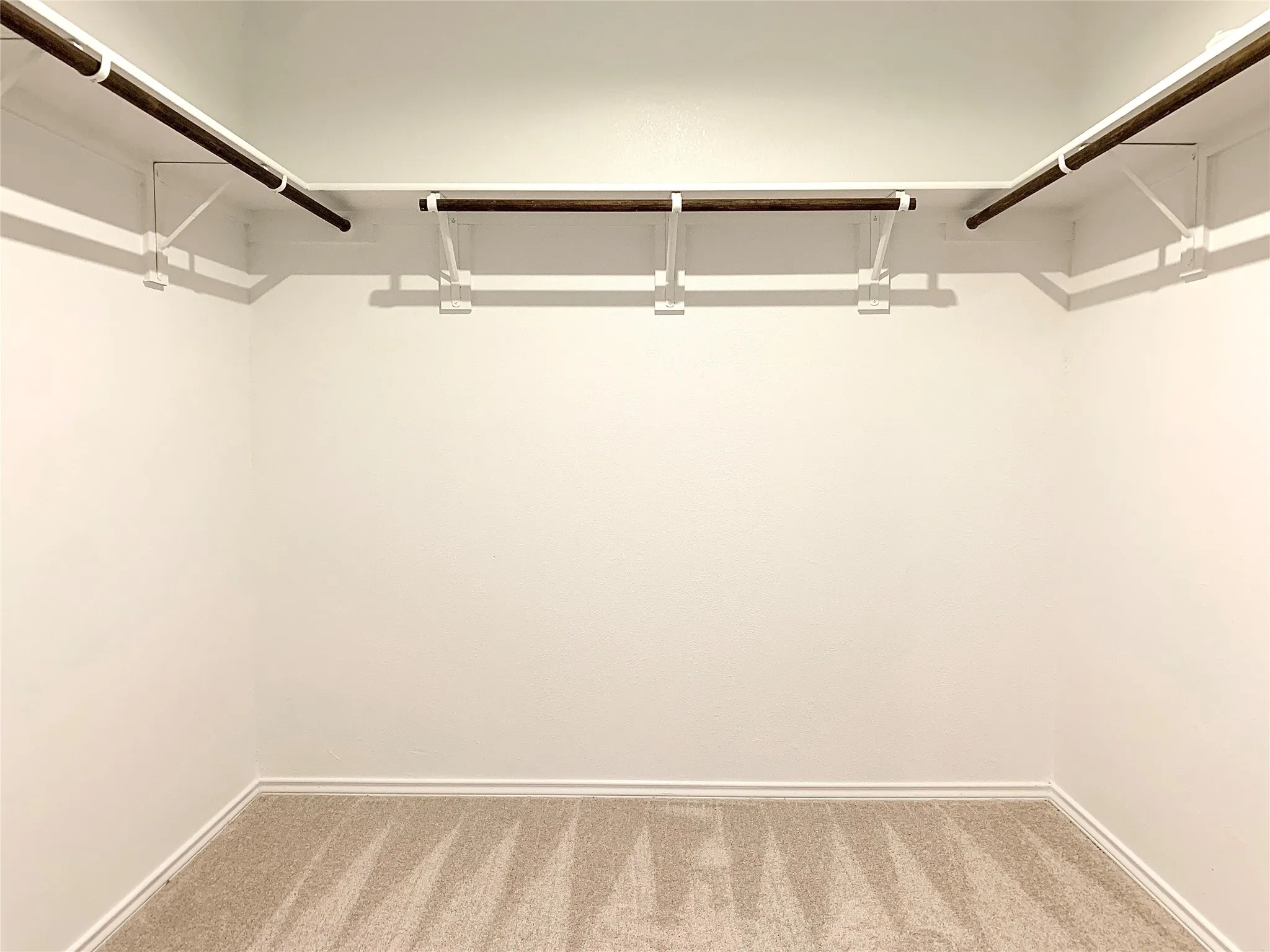 Spacious closet featuring carpet flooring