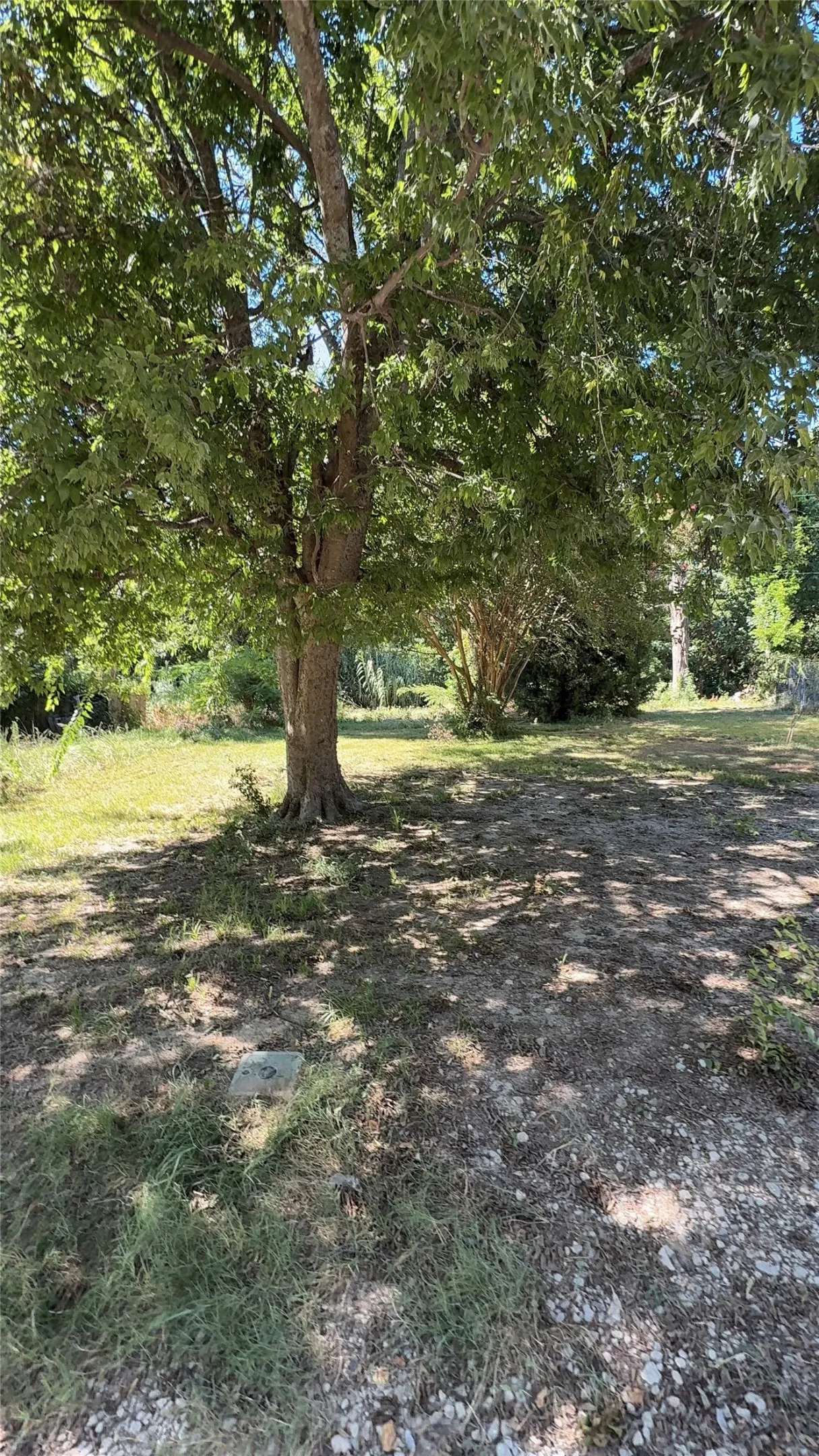 Unimproved Land For Sale in Hunt County , TBD Pueblo, Lone Oak, Texas 75453, 0, 0, Garage spaces, 0 Sqft, built in 0, Price $14,900, mls#21344662, Real Estate Agent in Lone Oak, Homes For Sale in Hunt county, Homes For Sale in Lone Oak, Realtor in Lone Oak Texas, Real Estate Brokerage Independent Realty Texas, Luminita Cordes Realtor