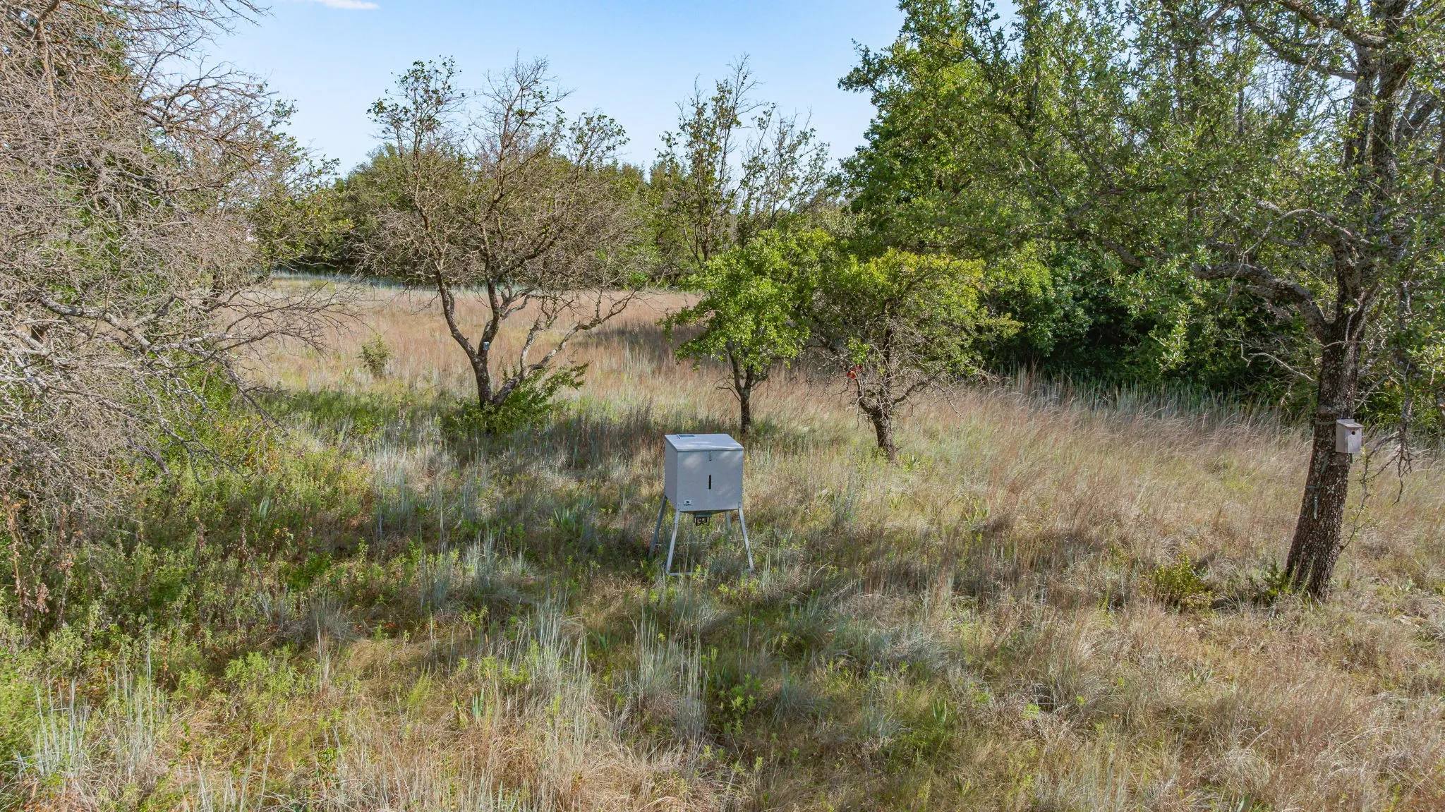 Unimproved Land For Sale in Comanche County , 523 Ava Grace Lane, Dublin, Texas 76446, 0, 0, Garage spaces, 0 Sqft, built in 0, mls#21344397, Real Estate Agent in Dublin, Homes For Sale in Comanche county, Homes For Sale in Dublin, Realtor in Dublin Texas, Real Estate Brokerage Independent Realty Texas, Luminita Cordes Realtor
