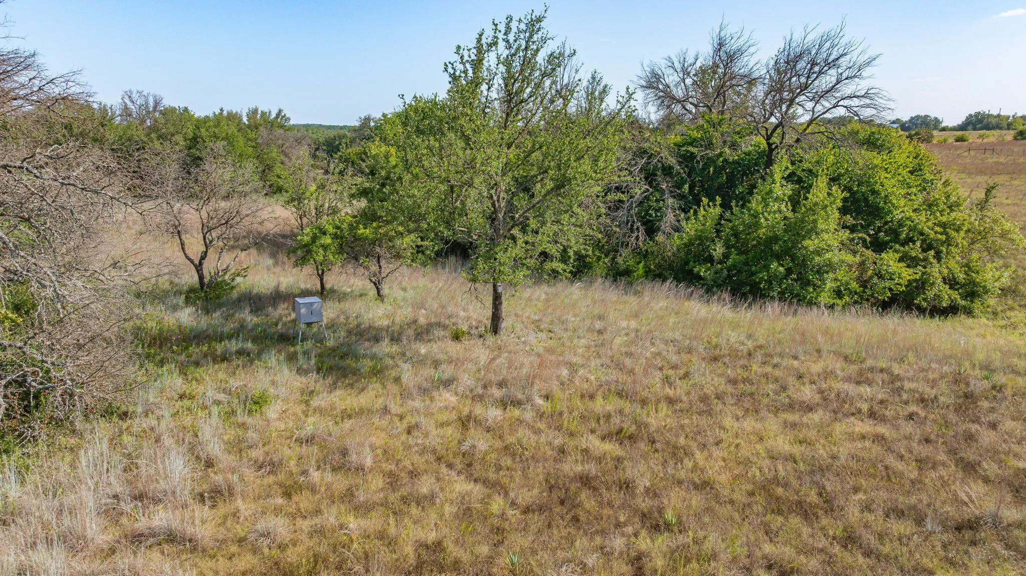 Unimproved Land For Sale in Comanche County , 523 Ava Grace Lane, Dublin, Texas 76446, 0, 0, Garage spaces, 0 Sqft, built in 0, mls#21344397, Real Estate Agent in Dublin, Homes For Sale in Comanche county, Homes For Sale in Dublin, Realtor in Dublin Texas, Real Estate Brokerage Independent Realty Texas, Luminita Cordes Realtor