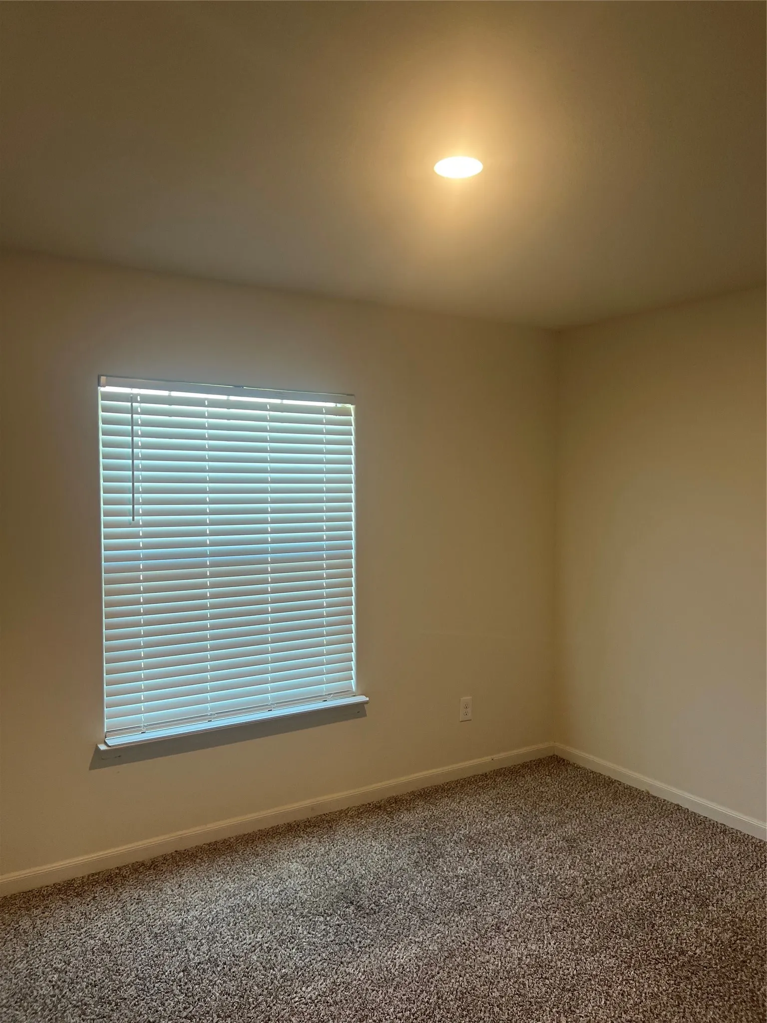Single Family Residence For Rent in Kaufman County , 3005 Boran Drive, Forney, Texas 75126, 3 Bedroom, 2 Bathroom, 2 Garage spaces, 1,643 Sqft, built in 2021, mls#21346222, Real Estate Agent in Forney, Homes For Rent in Kaufman county, Homes For Rent in Forney, Realtor in Forney Texas, Real Estate Brokerage Independent Realty Texas, Luminita Cordes Realtor
