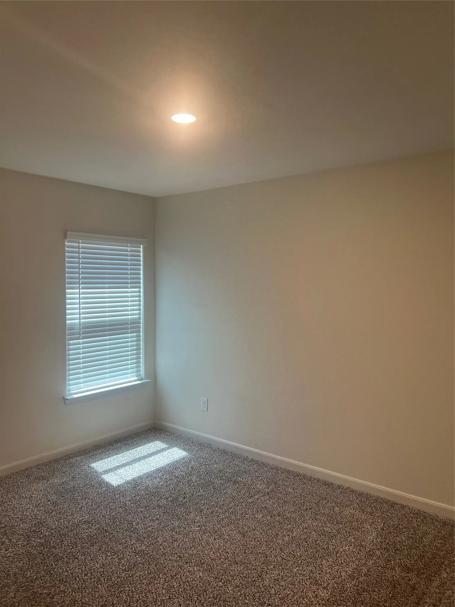 Single Family Residence For Rent in Kaufman County , 3005 Boran Drive, Forney, Texas 75126, 3 Bedroom, 2 Bathroom, 2 Garage spaces, 1,643 Sqft, built in 2021, mls#21346222, Real Estate Agent in Forney, Homes For Rent in Kaufman county, Homes For Rent in Forney, Realtor in Forney Texas, Real Estate Brokerage Independent Realty Texas, Luminita Cordes Realtor