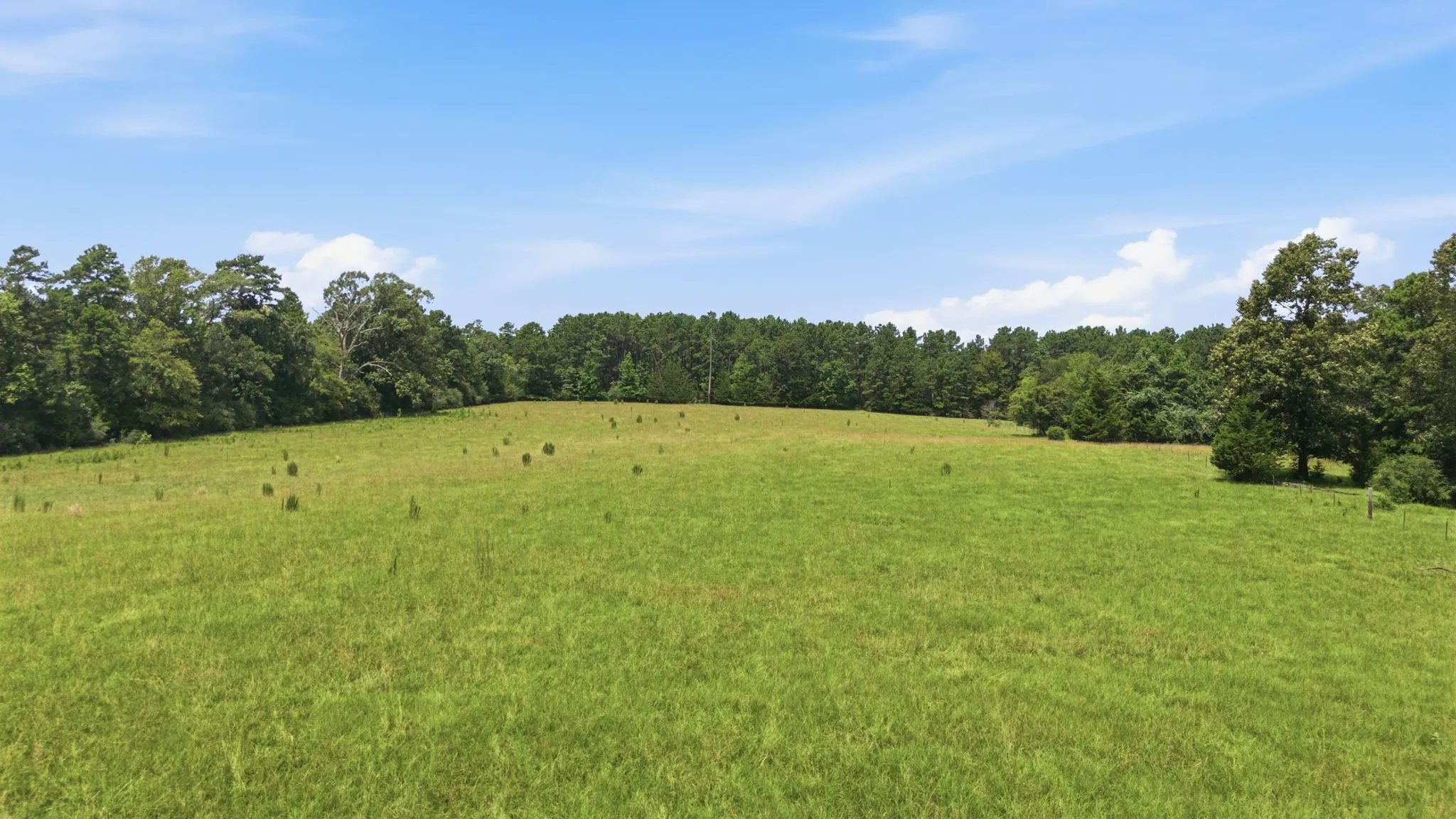 Farm For Sale in Houston County , 931 PR 5140, Grapeland, Texas 75844, 3 Bedroom, 3 Bathroom, Garage spaces, 2,025 Sqft, built in 1988, mls#21346137, Real Estate Agent in Grapeland, Homes For Sale in Houston county, Homes For Sale in Grapeland, Realtor in Grapeland Texas, Real Estate Brokerage Independent Realty Texas, Luminita Cordes Realtor