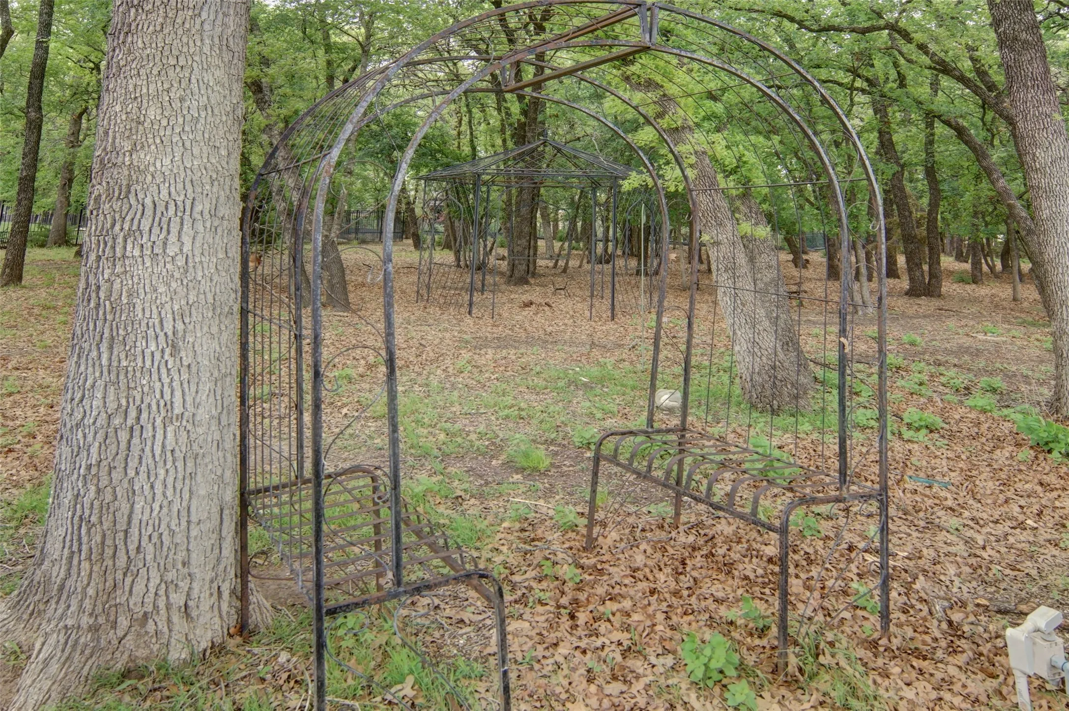 Walk through your own, private forest in this heavily-treed area of property which is home to deer, birds, bunnies, and squirrels.