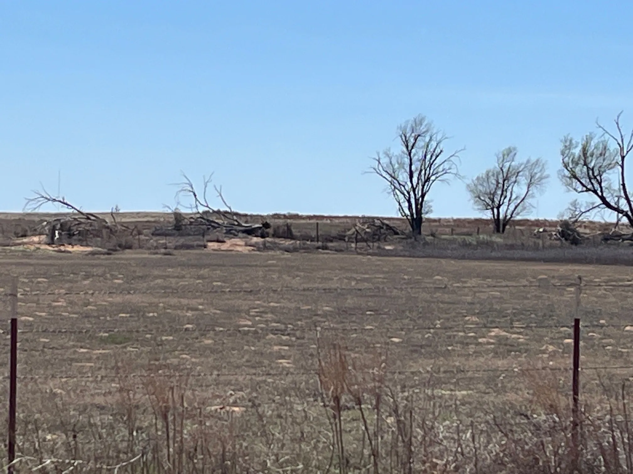 Ranch For Sale in Wilbarger County , TBD County Road 106 W, Vernon, Texas 76384, 0, 0, Garage spaces, 0 Sqft, built in 0, Price $50,000, mls#21337777, Real Estate Agent in Vernon, Homes For Sale in Wilbarger county, Homes For Sale in Vernon, Realtor in Vernon Texas, Real Estate Brokerage Independent Realty Texas, Luminita Cordes Realtor