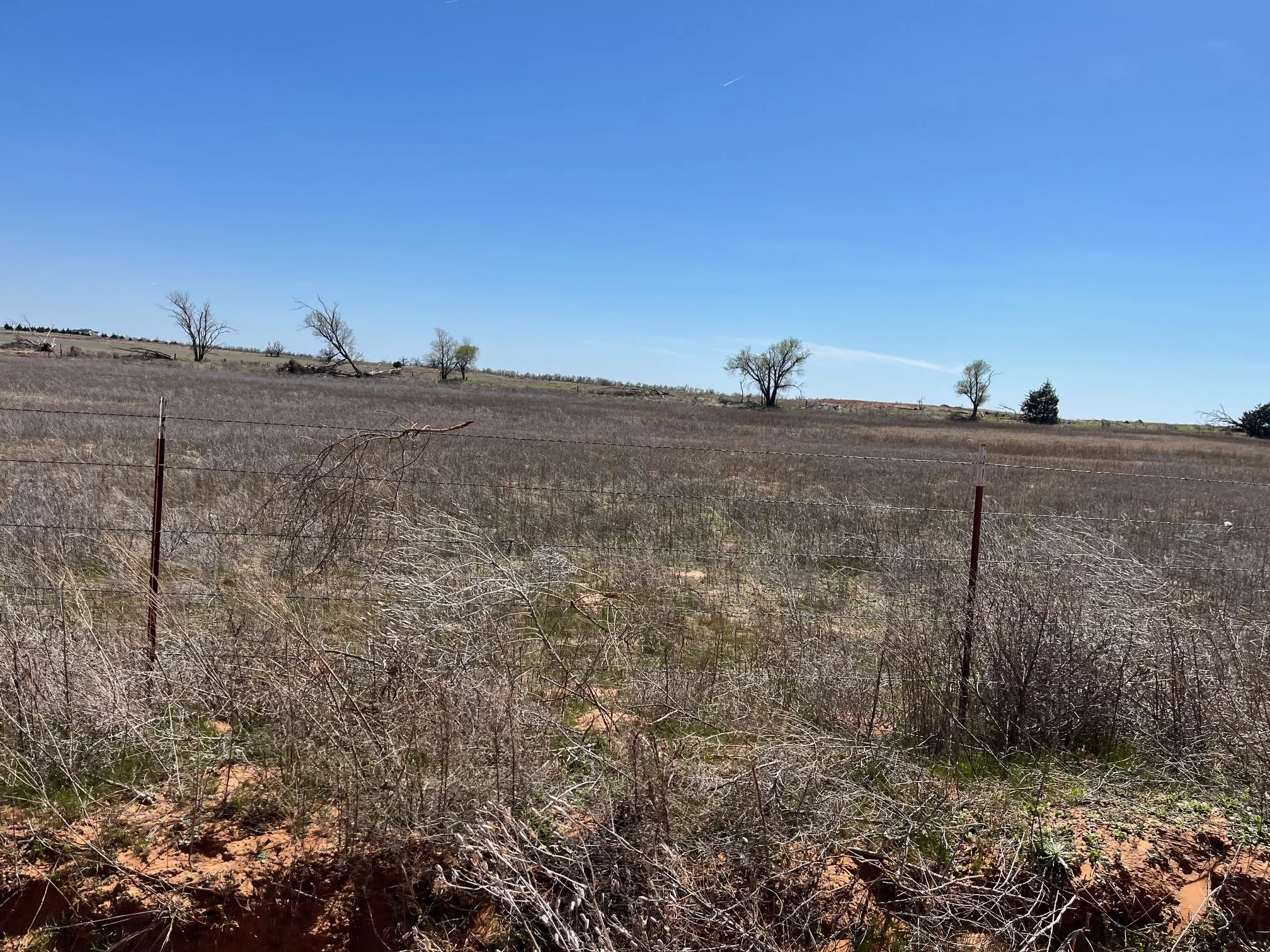 Ranch For Sale in Wilbarger County , TBD County Road 106 W, Vernon, Texas 76384, 0, 0, Garage spaces, 0 Sqft, built in 0, Price $50,000, mls#21337777, Real Estate Agent in Vernon, Homes For Sale in Wilbarger county, Homes For Sale in Vernon, Realtor in Vernon Texas, Real Estate Brokerage Independent Realty Texas, Luminita Cordes Realtor