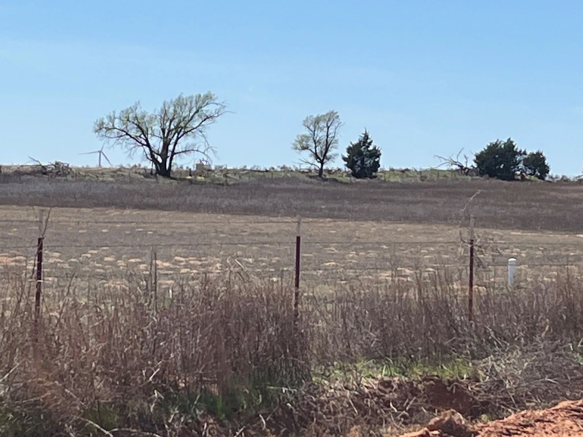 Ranch For Sale in Wilbarger County , TBD County Road 106 W, Vernon, Texas 76384, 0, 0, Garage spaces, 0 Sqft, built in 0, Price $50,000, mls#21337777, Real Estate Agent in Vernon, Homes For Sale in Wilbarger county, Homes For Sale in Vernon, Realtor in Vernon Texas, Real Estate Brokerage Independent Realty Texas, Luminita Cordes Realtor