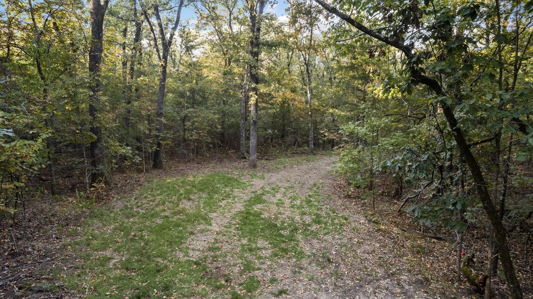 Single Family Residence For Sale in Fannin County , 1473 County Road 2980, Windom, Texas 75492, 3 Bedroom, 3 Bathroom, 2 Garage spaces, 2,773 Sqft, built in 2009, mls#21345666, Real Estate Agent in Windom, Homes For Sale in Fannin county, Homes For Sale in Windom, Realtor in Windom Texas, Real Estate Brokerage Independent Realty Texas, Luminita Cordes Realtor