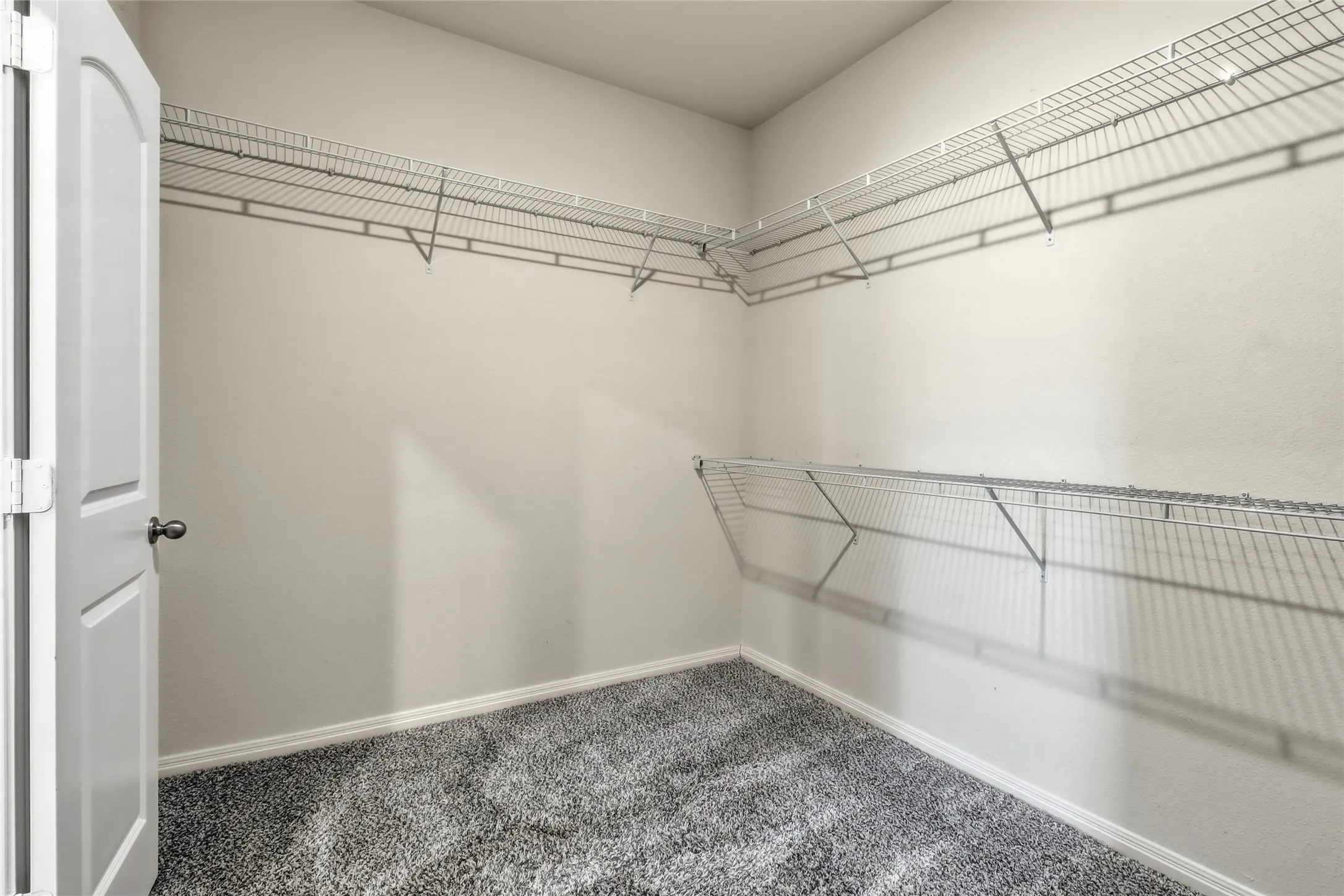 Walk-in closet featuring light gray carpeting and white baseboards