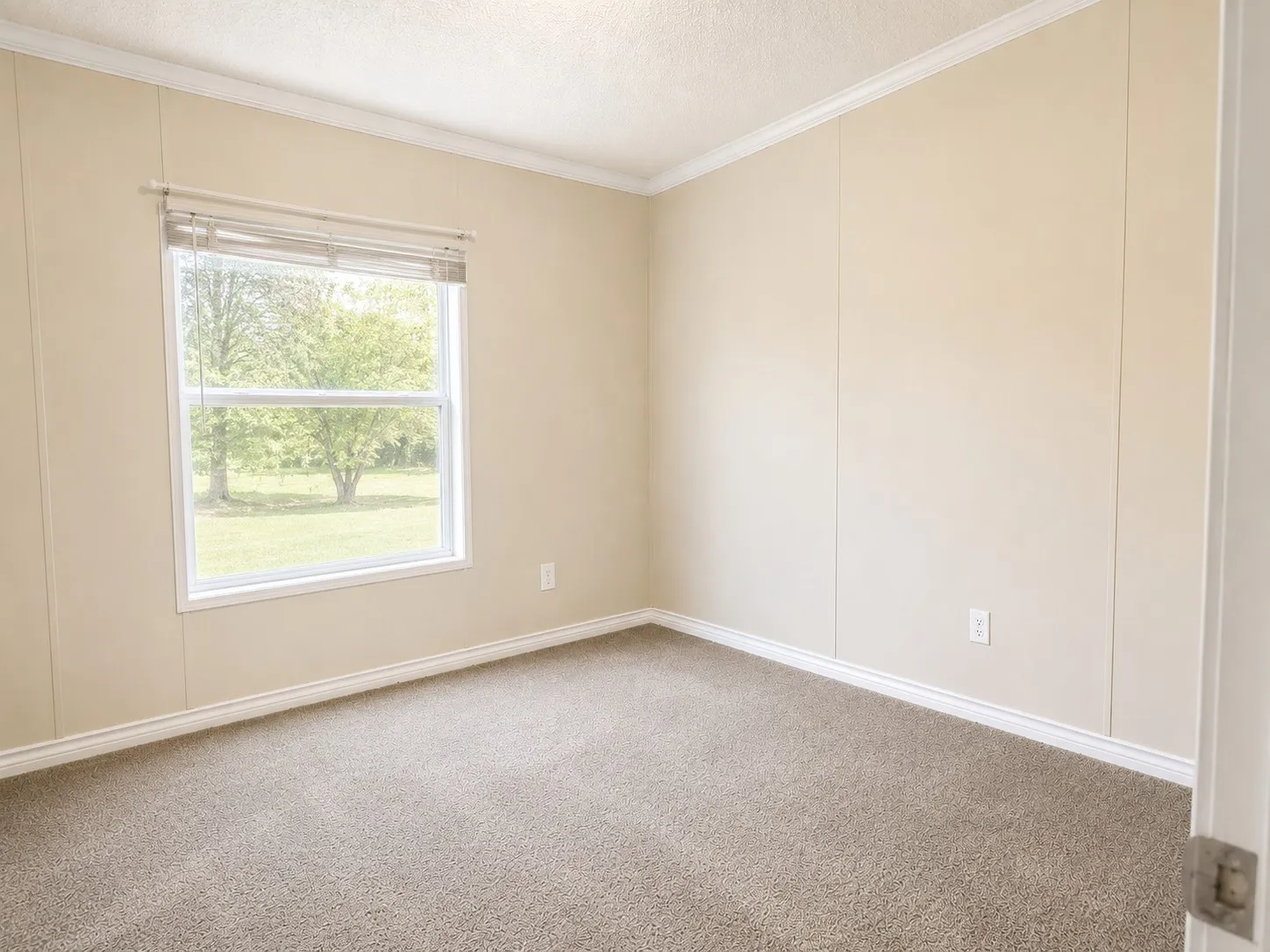 Neutral-toned walls with white trim and crown molding