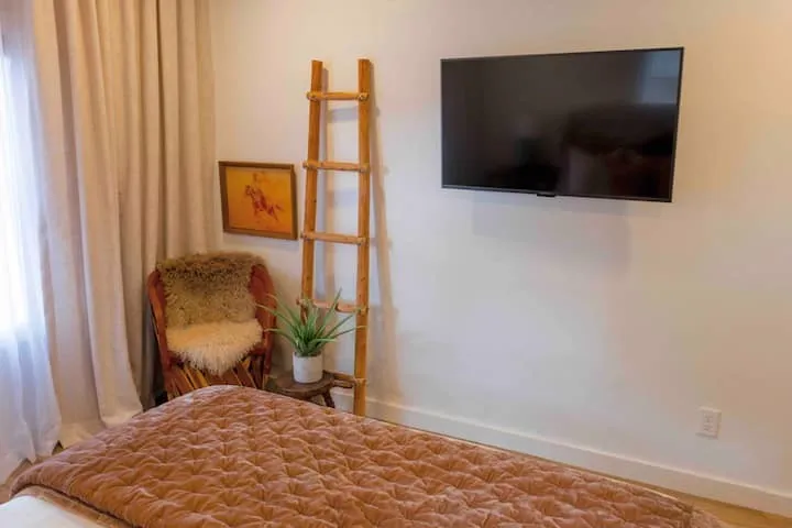 Wall-mounted television