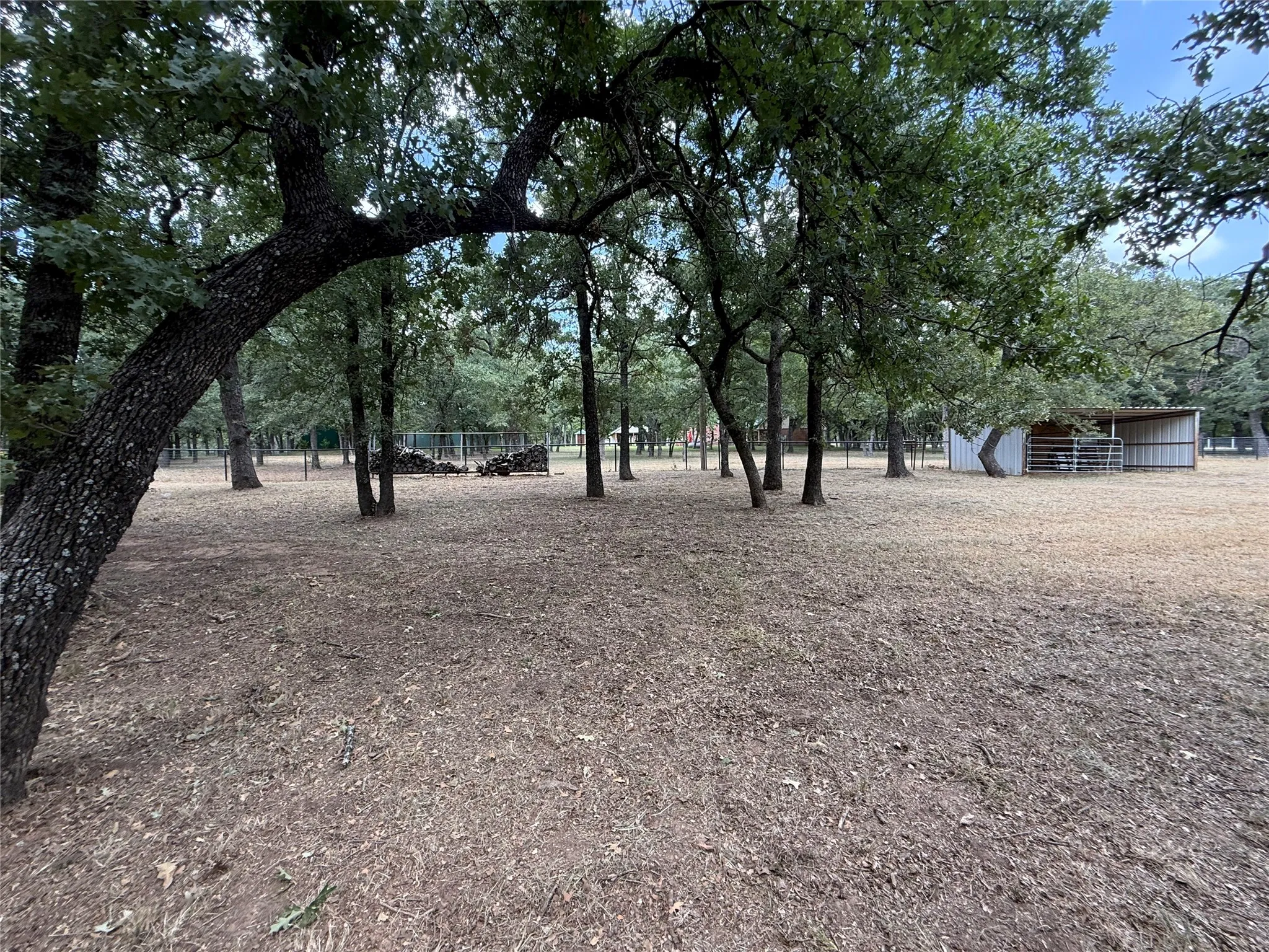 Loafing shed and pasture