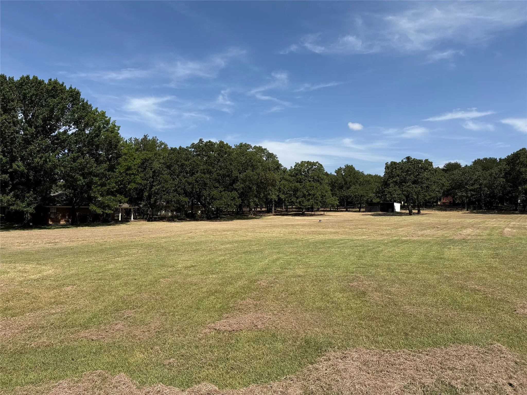 Open pasture