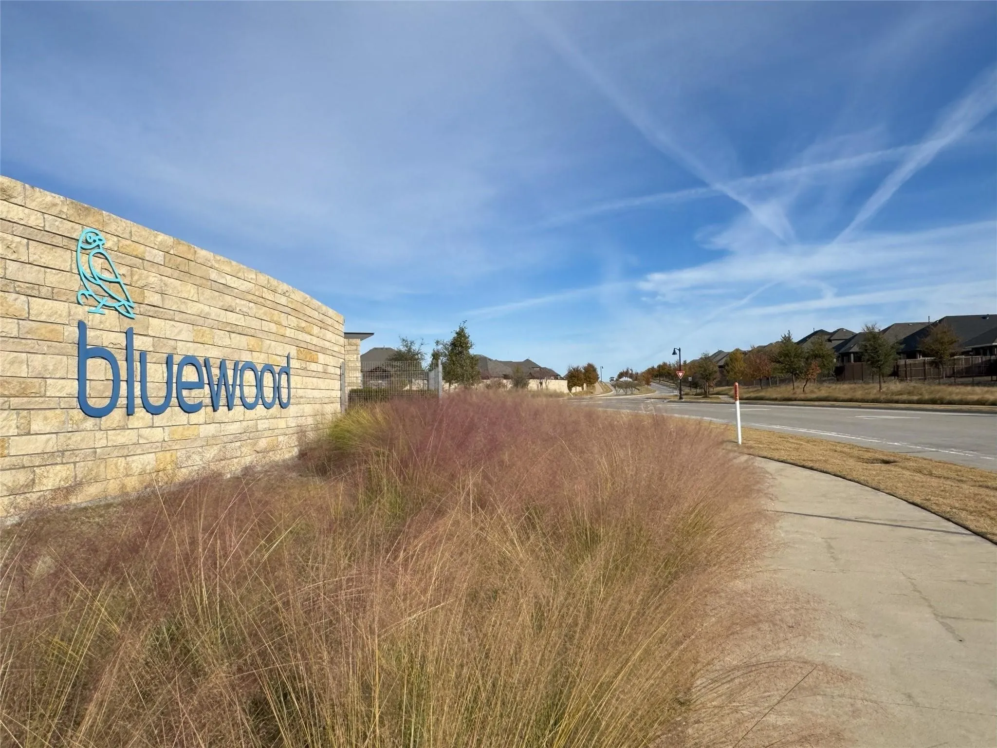 Single Family Residence For Rent in Collin County , 905 Berry Street, Celina, Texas 75009, 4 Bedroom, 2 Bathroom, 2 Garage spaces, 2,023 Sqft, built in 2019, mls#21346392, Real Estate Agent in Celina, Homes For Rent in Collin county, Homes For Rent in Celina, Realtor in Celina Texas, Real Estate Brokerage Independent Realty Texas, Luminita Cordes Realtor