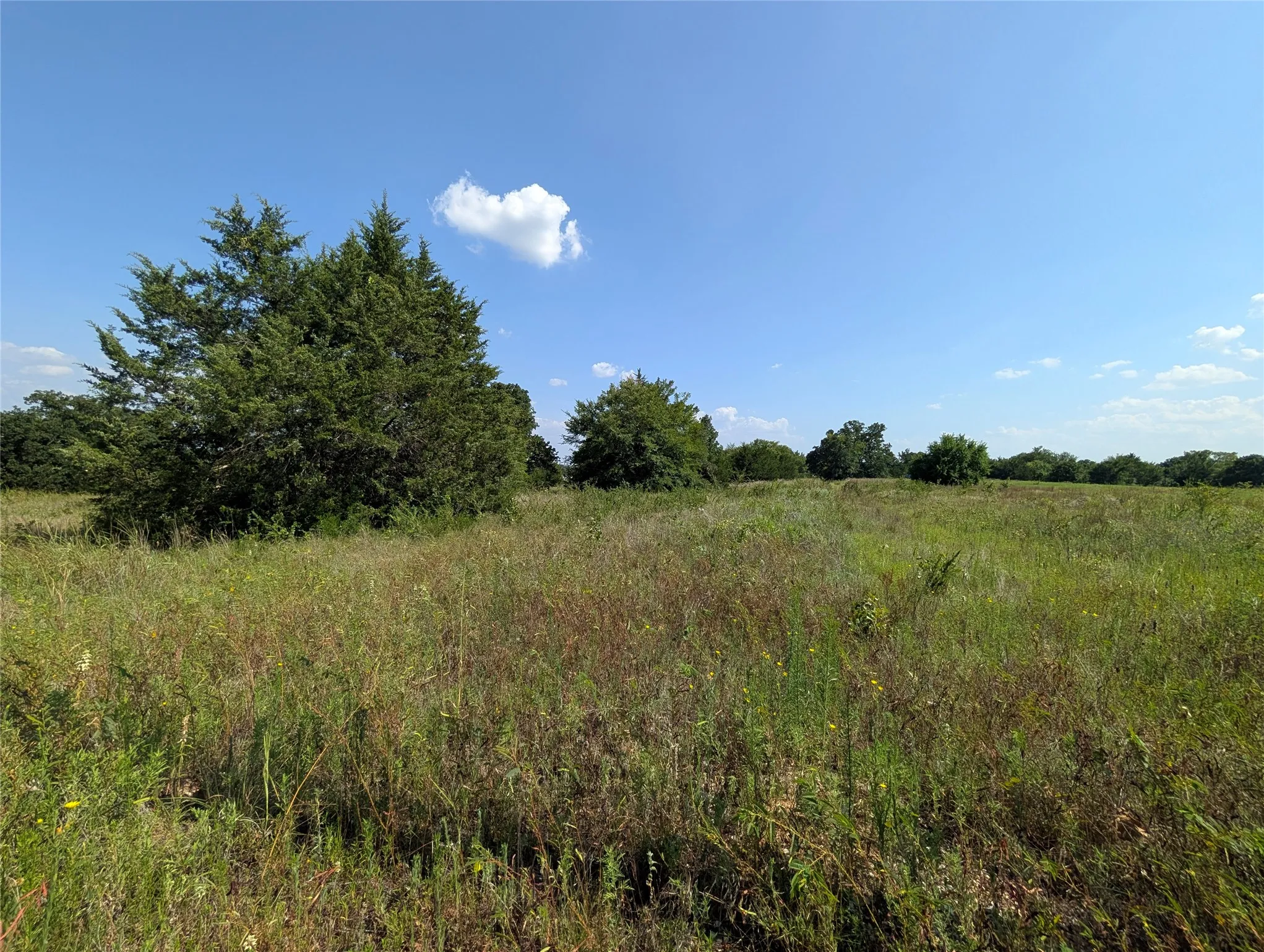 Unimproved Land For Sale in Cooke County , Lot 3 County Road 147, Gainesville, Texas 76240, 0, 0, Garage spaces, 0 Sqft, built in 0, Price $150,000, mls#21346303, Real Estate Agent in Gainesville, Homes For Sale in Cooke county, Homes For Sale in Gainesville, Realtor in Gainesville Texas, Real Estate Brokerage Independent Realty Texas, Luminita Cordes Realtor