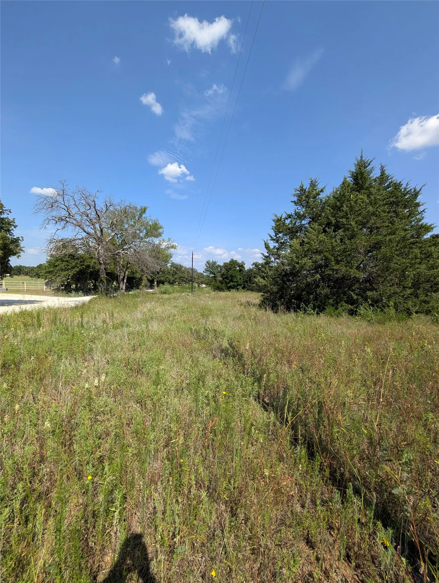 Unimproved Land For Sale in Cooke County , Lot 3 County Road 147, Gainesville, Texas 76240, 0, 0, Garage spaces, 0 Sqft, built in 0, Price $150,000, mls#21346303, Real Estate Agent in Gainesville, Homes For Sale in Cooke county, Homes For Sale in Gainesville, Realtor in Gainesville Texas, Real Estate Brokerage Independent Realty Texas, Luminita Cordes Realtor