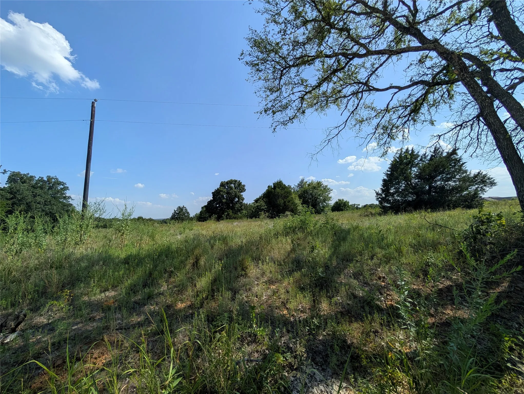 Unimproved Land For Sale in Cooke County , Lot 3 County Road 147, Gainesville, Texas 76240, 0, 0, Garage spaces, 0 Sqft, built in 0, Price $150,000, mls#21346303, Real Estate Agent in Gainesville, Homes For Sale in Cooke county, Homes For Sale in Gainesville, Realtor in Gainesville Texas, Real Estate Brokerage Independent Realty Texas, Luminita Cordes Realtor