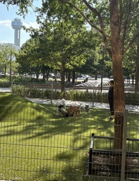 Civic Garden Park with Dog Park located next to The Metropolitan
