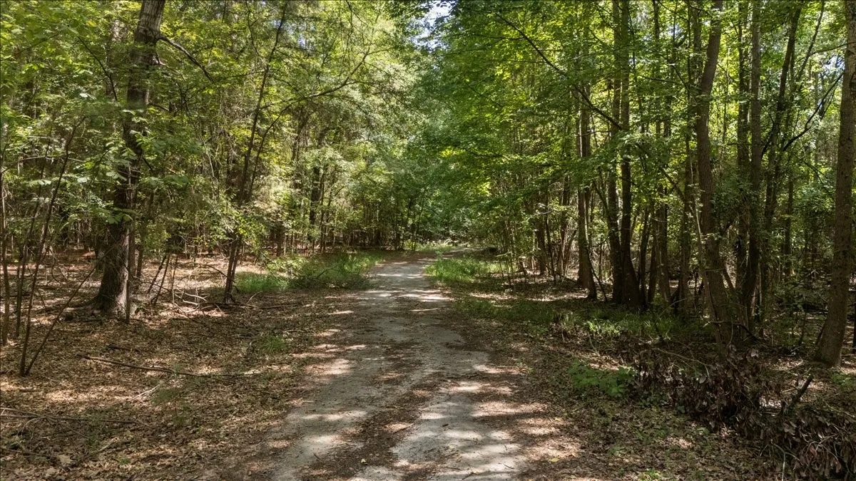 Unimproved Land For Sale in Henderson County , 21980 Barron Road, Chandler, Texas 75758, 0, 0, Garage spaces, 0 Sqft, built in 0, mls#21346437, Real Estate Agent in Chandler, Homes For Sale in Henderson county, Homes For Sale in Chandler, Realtor in Chandler Texas, Real Estate Brokerage Independent Realty Texas, Luminita Cordes Realtor