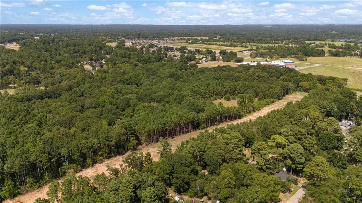 Unimproved Land For Sale in Henderson County , 21980 Barron Road, Chandler, Texas 75758, 0, 0, Garage spaces, 0 Sqft, built in 0, mls#21346437, Real Estate Agent in Chandler, Homes For Sale in Henderson county, Homes For Sale in Chandler, Realtor in Chandler Texas, Real Estate Brokerage Independent Realty Texas, Luminita Cordes Realtor