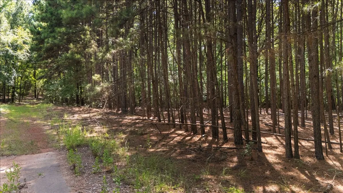 Unimproved Land For Sale in Henderson County , 21980 Barron Road, Chandler, Texas 75758, 0, 0, Garage spaces, 0 Sqft, built in 0, mls#21346437, Real Estate Agent in Chandler, Homes For Sale in Henderson county, Homes For Sale in Chandler, Realtor in Chandler Texas, Real Estate Brokerage Independent Realty Texas, Luminita Cordes Realtor