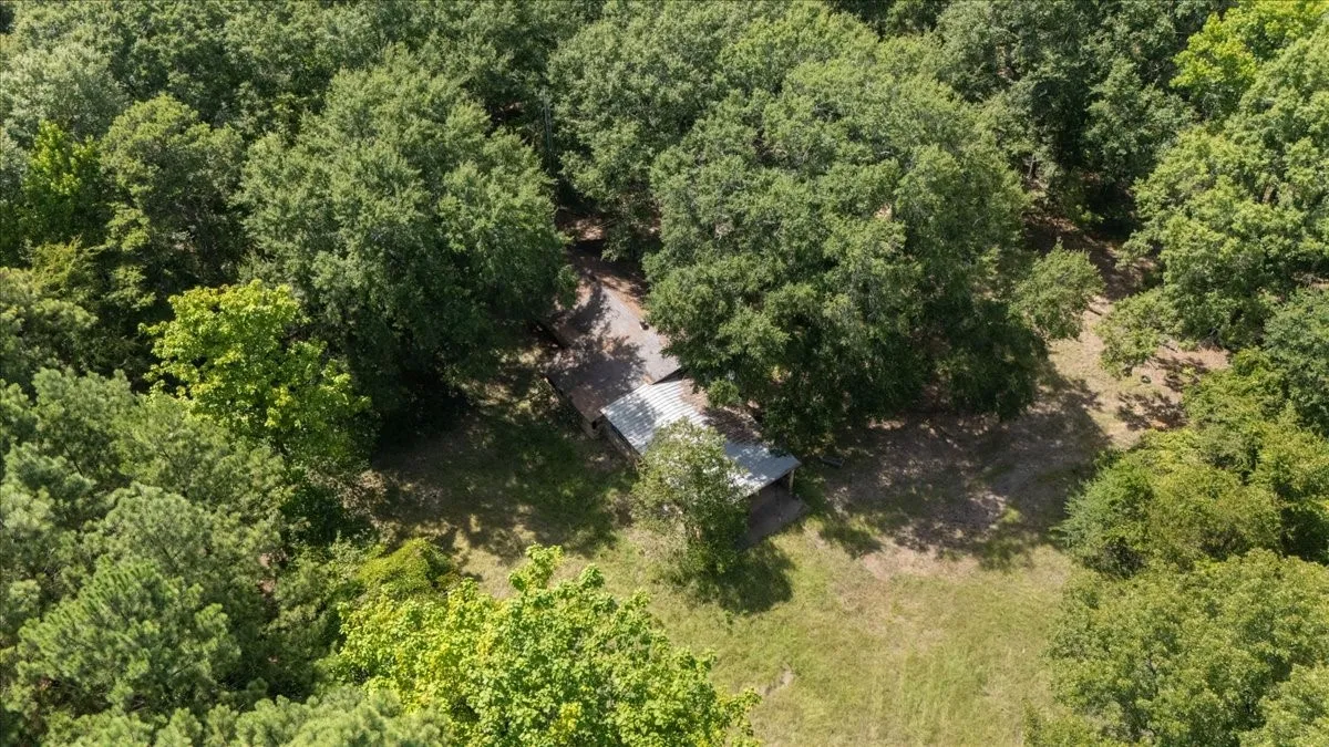 Unimproved Land For Sale in Henderson County , 21980 Barron Road, Chandler, Texas 75758, 0, 0, Garage spaces, 0 Sqft, built in 0, mls#21346437, Real Estate Agent in Chandler, Homes For Sale in Henderson county, Homes For Sale in Chandler, Realtor in Chandler Texas, Real Estate Brokerage Independent Realty Texas, Luminita Cordes Realtor