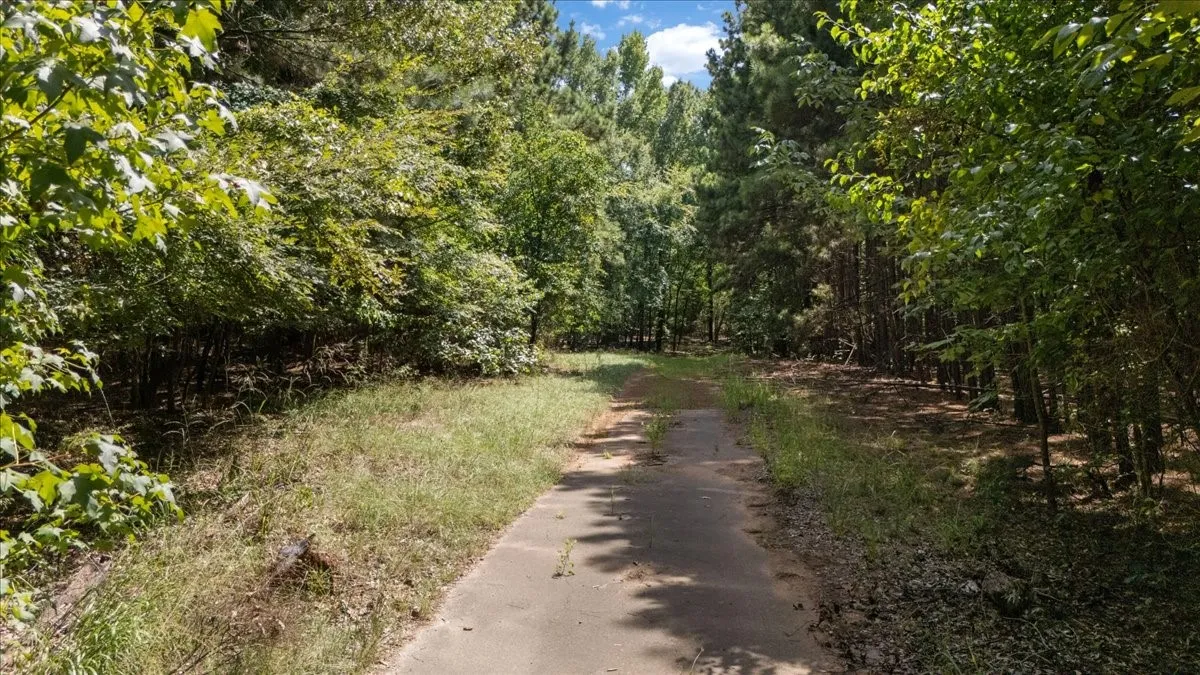 Unimproved Land For Sale in Henderson County , 21980 Barron Road, Chandler, Texas 75758, 0, 0, Garage spaces, 0 Sqft, built in 0, mls#21346437, Real Estate Agent in Chandler, Homes For Sale in Henderson county, Homes For Sale in Chandler, Realtor in Chandler Texas, Real Estate Brokerage Independent Realty Texas, Luminita Cordes Realtor