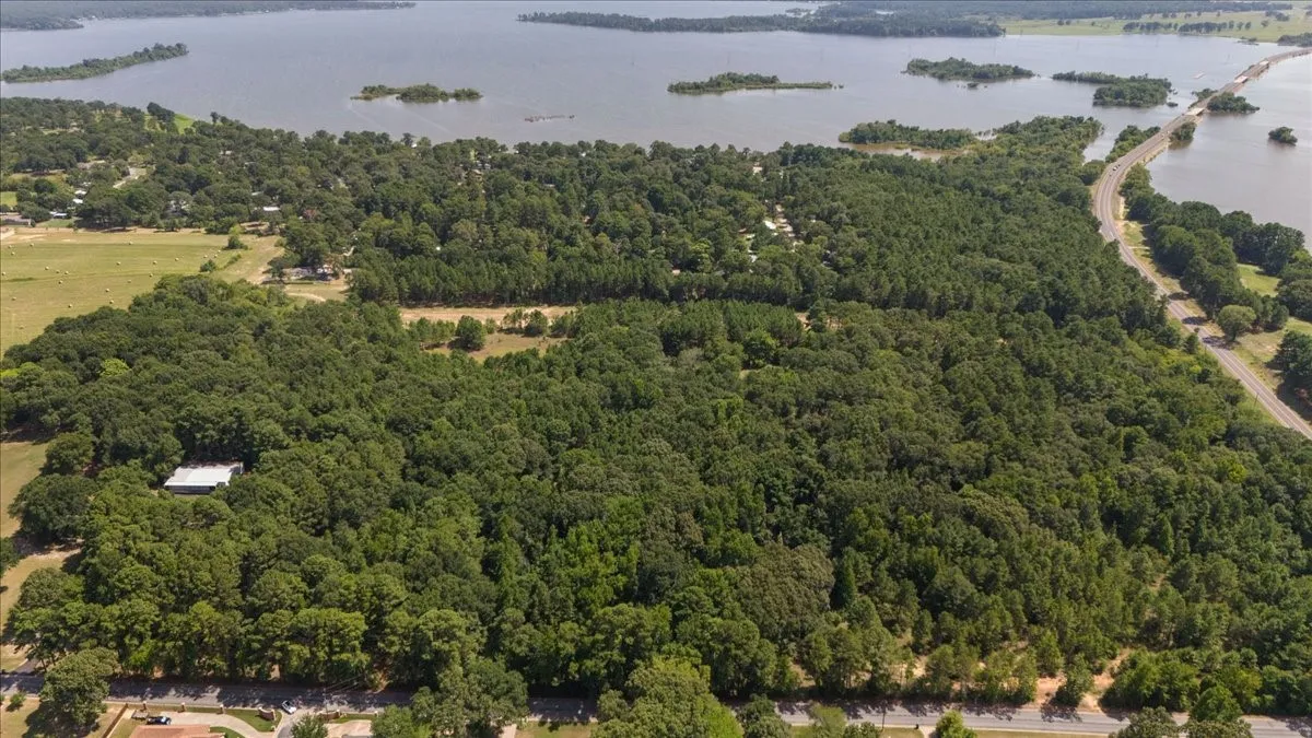 Unimproved Land For Sale in Henderson County , 21980 Barron Road, Chandler, Texas 75758, 0, 0, Garage spaces, 0 Sqft, built in 0, mls#21346437, Real Estate Agent in Chandler, Homes For Sale in Henderson county, Homes For Sale in Chandler, Realtor in Chandler Texas, Real Estate Brokerage Independent Realty Texas, Luminita Cordes Realtor