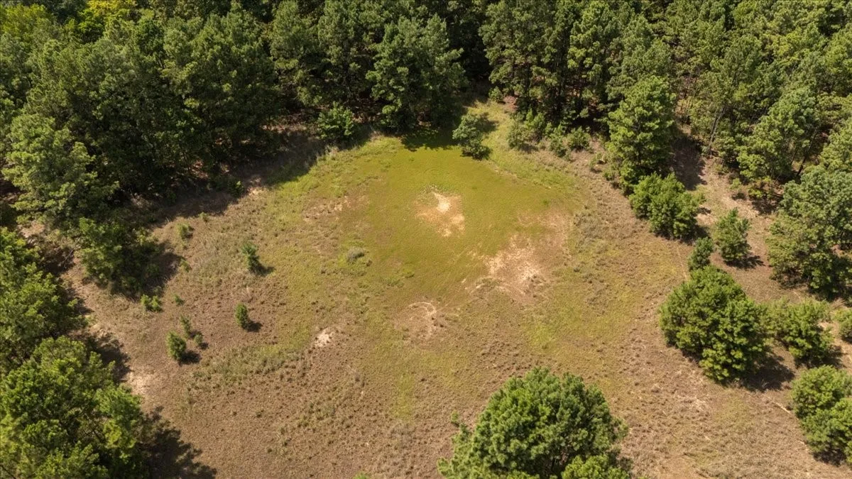 Unimproved Land For Sale in Henderson County , 21980 Barron Road, Chandler, Texas 75758, 0, 0, Garage spaces, 0 Sqft, built in 0, mls#21346437, Real Estate Agent in Chandler, Homes For Sale in Henderson county, Homes For Sale in Chandler, Realtor in Chandler Texas, Real Estate Brokerage Independent Realty Texas, Luminita Cordes Realtor