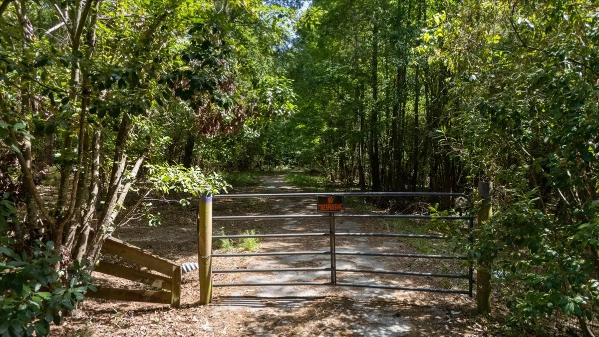 Unimproved Land For Sale in Henderson County , 21980 Barron Road, Chandler, Texas 75758, 0, 0, Garage spaces, 0 Sqft, built in 0, mls#21346437, Real Estate Agent in Chandler, Homes For Sale in Henderson county, Homes For Sale in Chandler, Realtor in Chandler Texas, Real Estate Brokerage Independent Realty Texas, Luminita Cordes Realtor