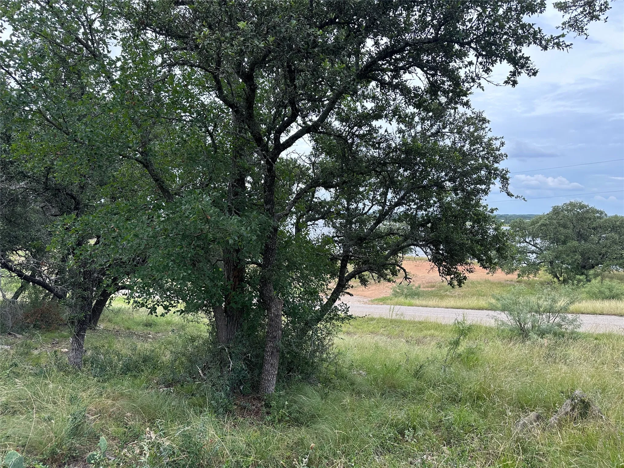 View from lot