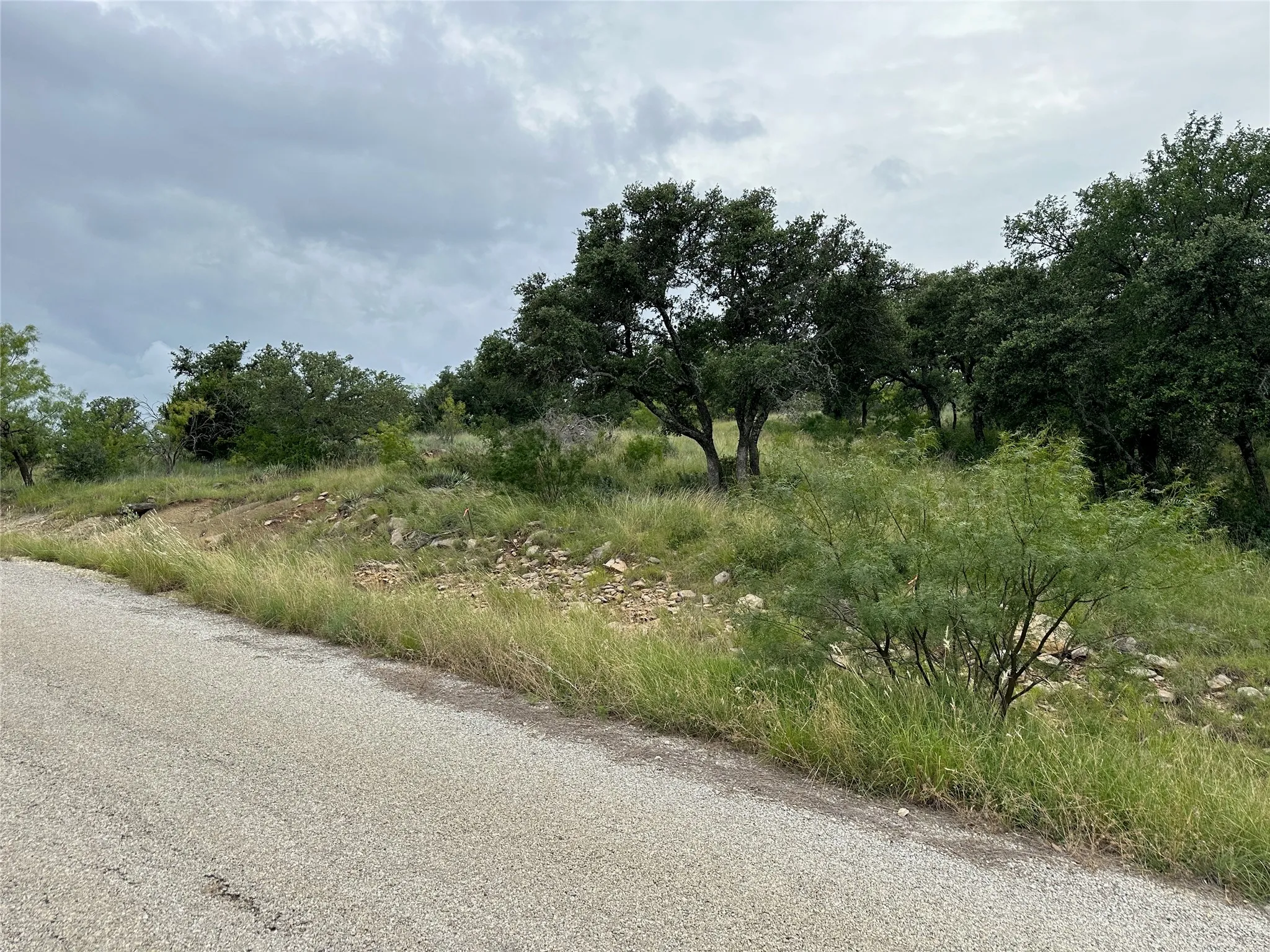 Property featuring a paved road frontage, natural landscaping with mature trees, varied topography, and abundant natural vegetation