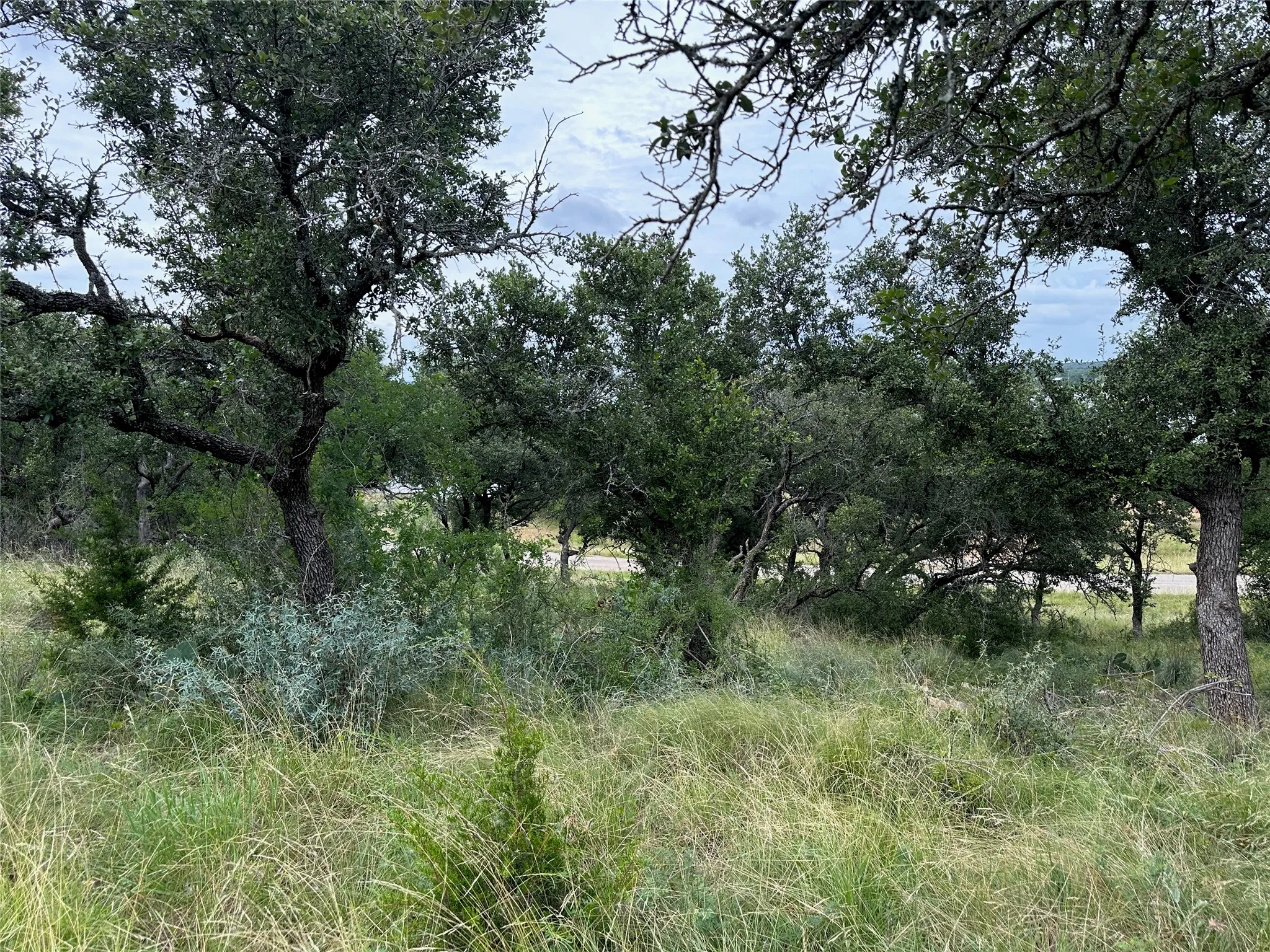 Wooded acreage featuring mature trees and natural landscaping