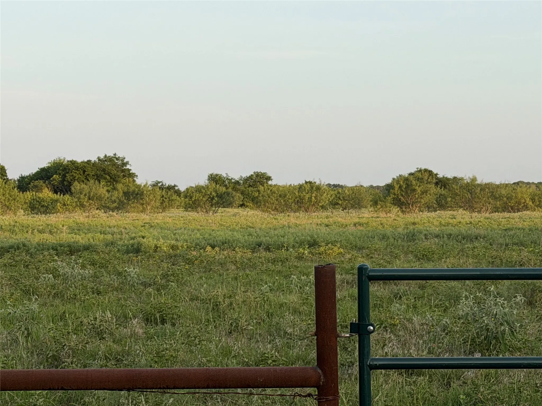 Unimproved Land For Sale in Navarro County , Lot 6 NE CR 2160, Kerens, Texas 75144, 0, 0, Garage spaces, 0 Sqft, built in 0, mls#21344593, Real Estate Agent in Kerens, Homes For Sale in Navarro county, Homes For Sale in Kerens, Realtor in Kerens Texas, Real Estate Brokerage Independent Realty Texas, Luminita Cordes Realtor