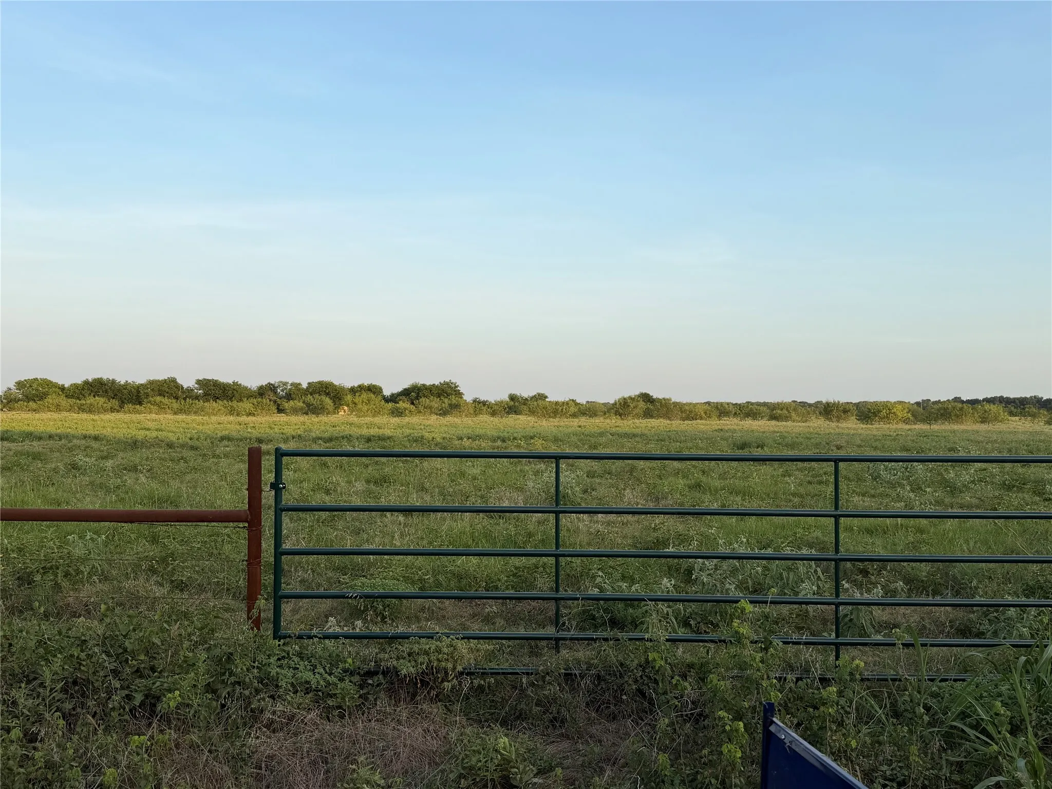 Unimproved Land For Sale in Navarro County , Lot 6 NE CR 2160, Kerens, Texas 75144, 0, 0, Garage spaces, 0 Sqft, built in 0, mls#21344593, Real Estate Agent in Kerens, Homes For Sale in Navarro county, Homes For Sale in Kerens, Realtor in Kerens Texas, Real Estate Brokerage Independent Realty Texas, Luminita Cordes Realtor