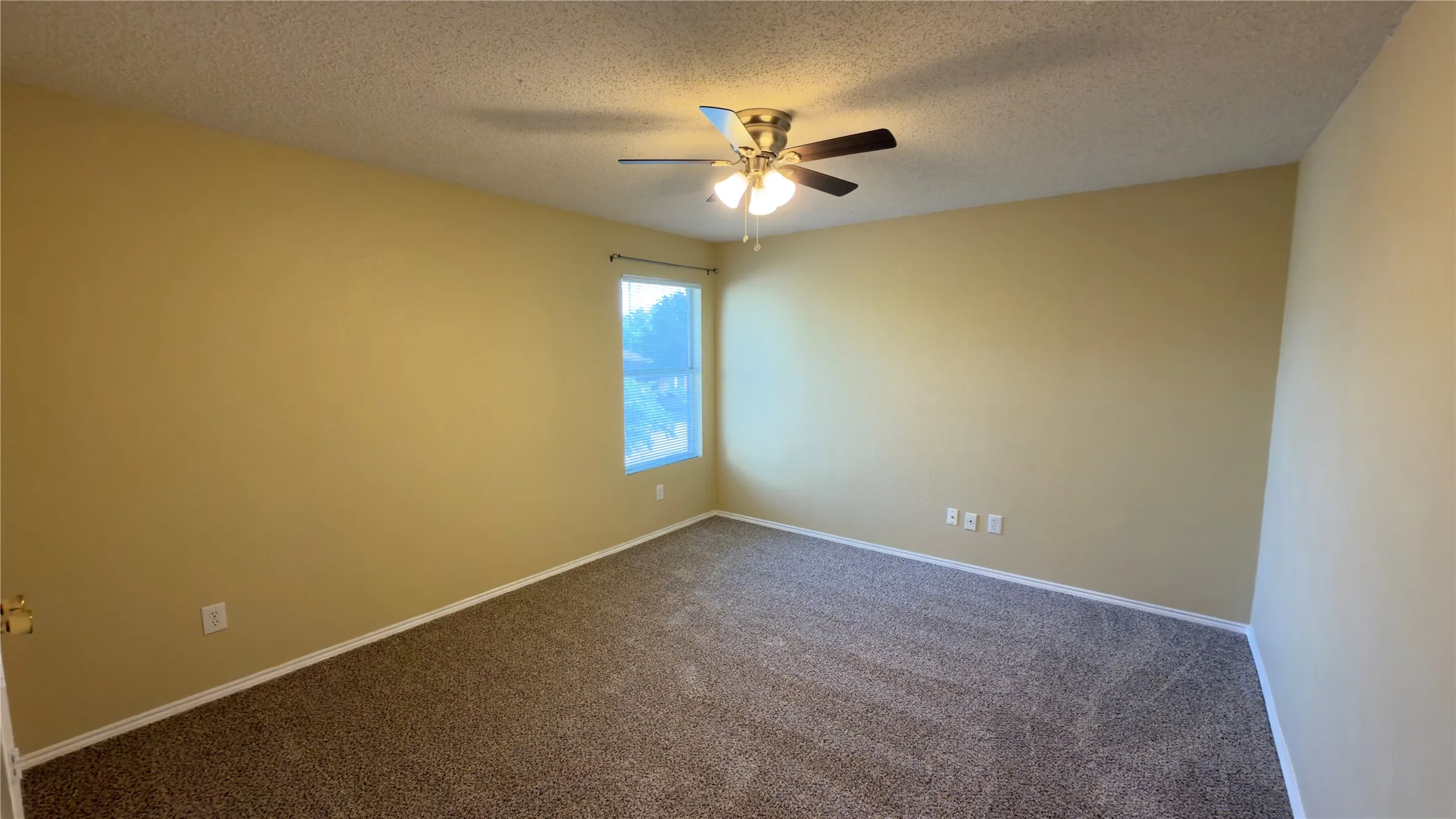 Spacious room featuring textured carpeting, a ceiling fan with integrated lighting, and a window with blinds