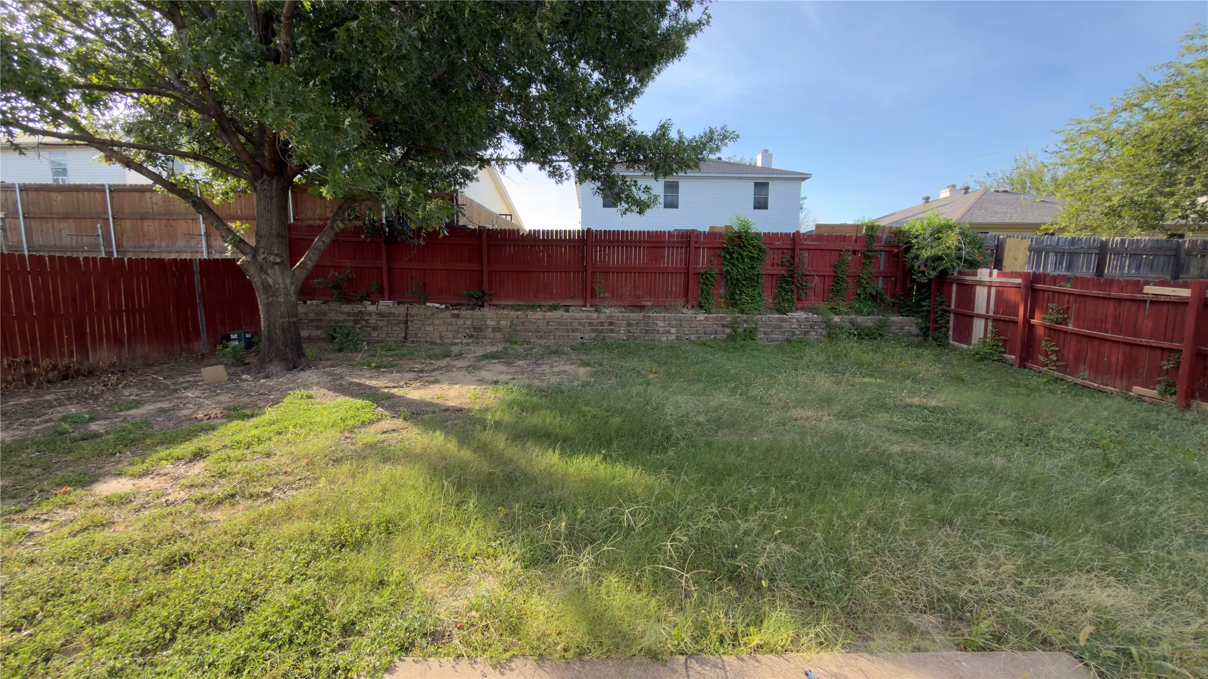 Expansive backyard with a large mature tree providing natural shade