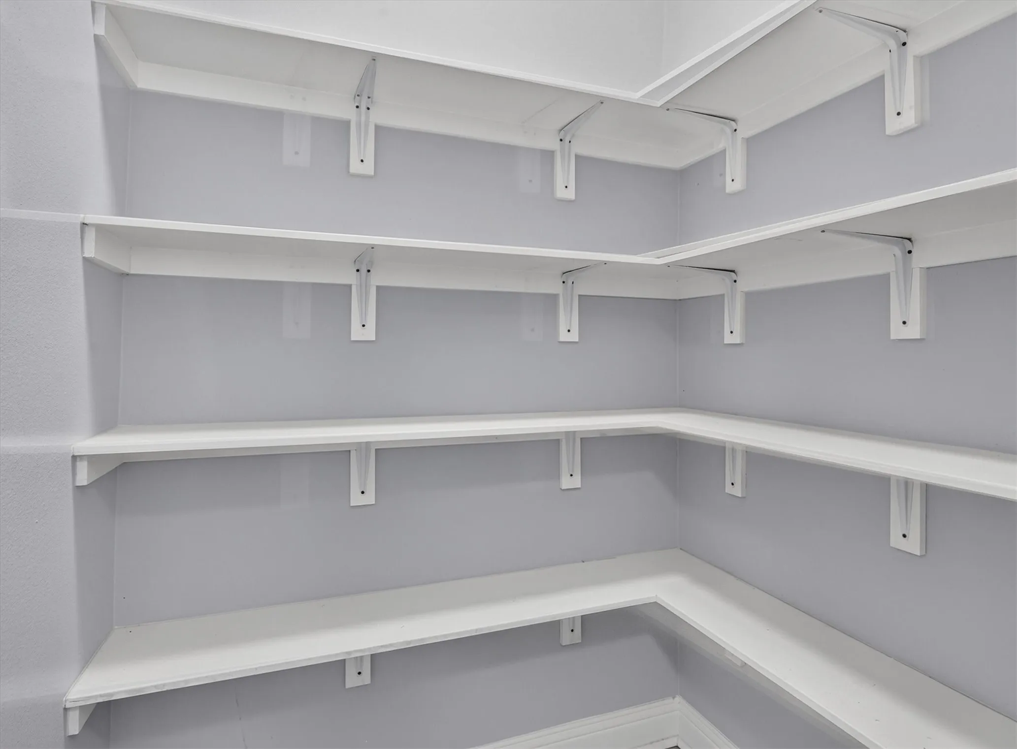 Corner pantry featuring white shelving and light gray walls