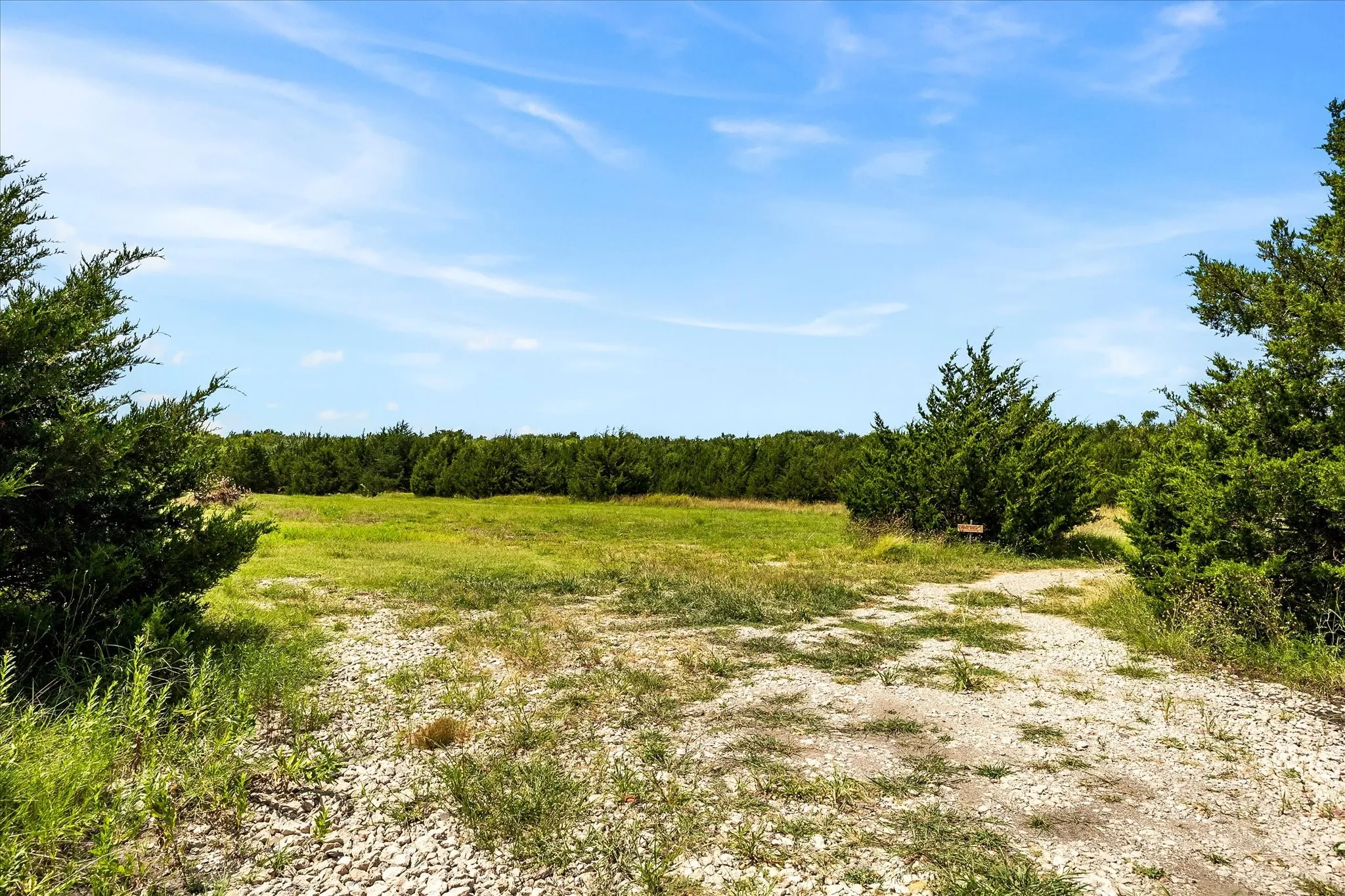 Clearing for proposed Event Center.
