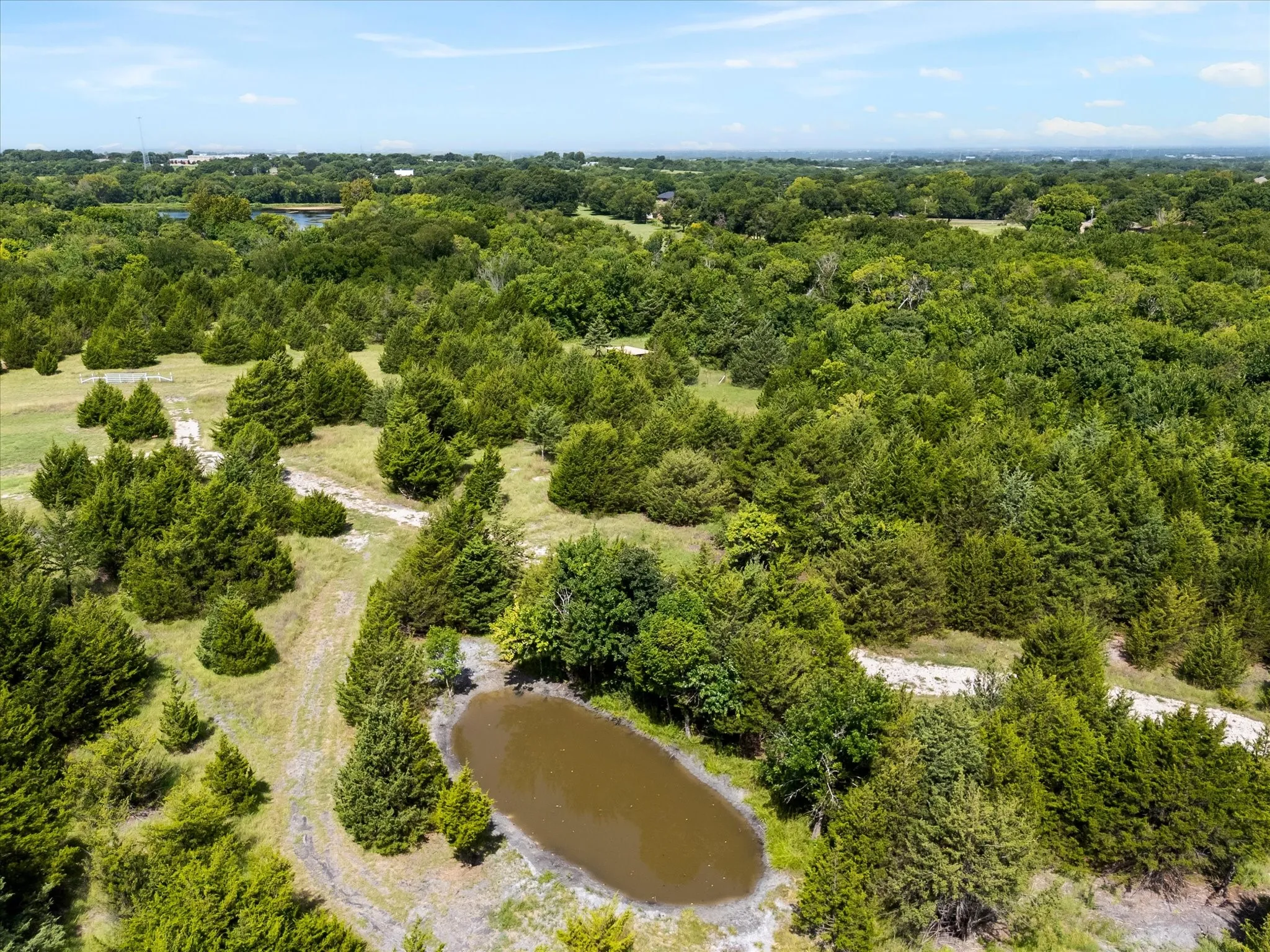 Improved Land For Sale in Collin County , 976 Fm 2194, Farmersville, Texas 75442, 0, 0, Garage spaces, 0 Sqft, built in 0, Price $490,000, mls#21345642, Real Estate Agent in Farmersville, Homes For Sale in Collin county, Homes For Sale in Farmersville, Realtor in Farmersville Texas, Real Estate Brokerage Independent Realty Texas, Luminita Cordes Realtor