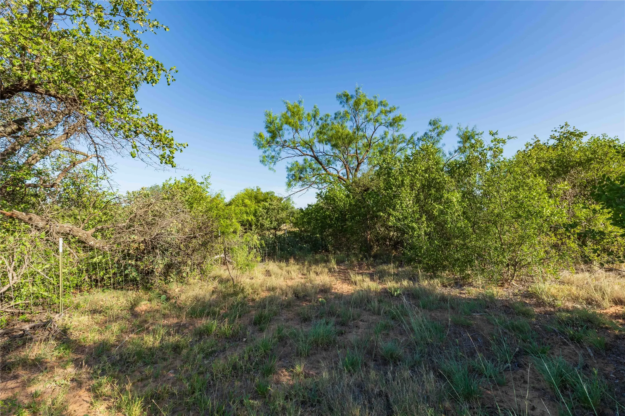Unimproved Land For Sale in Jones County , FM FM 707, Anson, Texas 79501, 0, 0, Garage spaces, 0 Sqft, built in 0, Price $130,000, mls#21346606, Real Estate Agent in Anson, Homes For Sale in Jones county, Homes For Sale in Anson, Realtor in Anson Texas, Real Estate Brokerage Independent Realty Texas, Luminita Cordes Realtor
