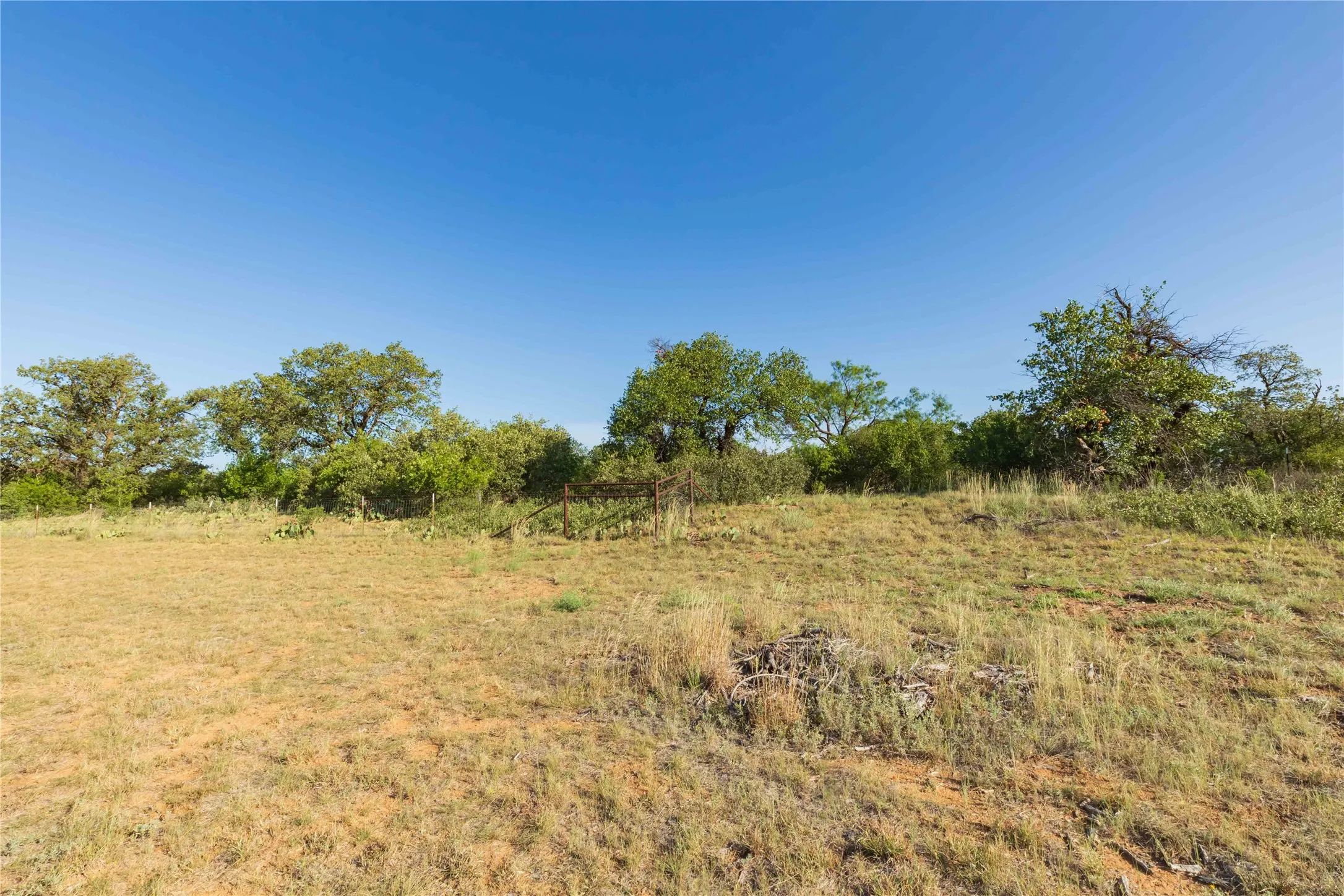 Unimproved Land For Sale in Jones County , FM FM 707, Anson, Texas 79501, 0, 0, Garage spaces, 0 Sqft, built in 0, Price $130,000, mls#21346606, Real Estate Agent in Anson, Homes For Sale in Jones county, Homes For Sale in Anson, Realtor in Anson Texas, Real Estate Brokerage Independent Realty Texas, Luminita Cordes Realtor