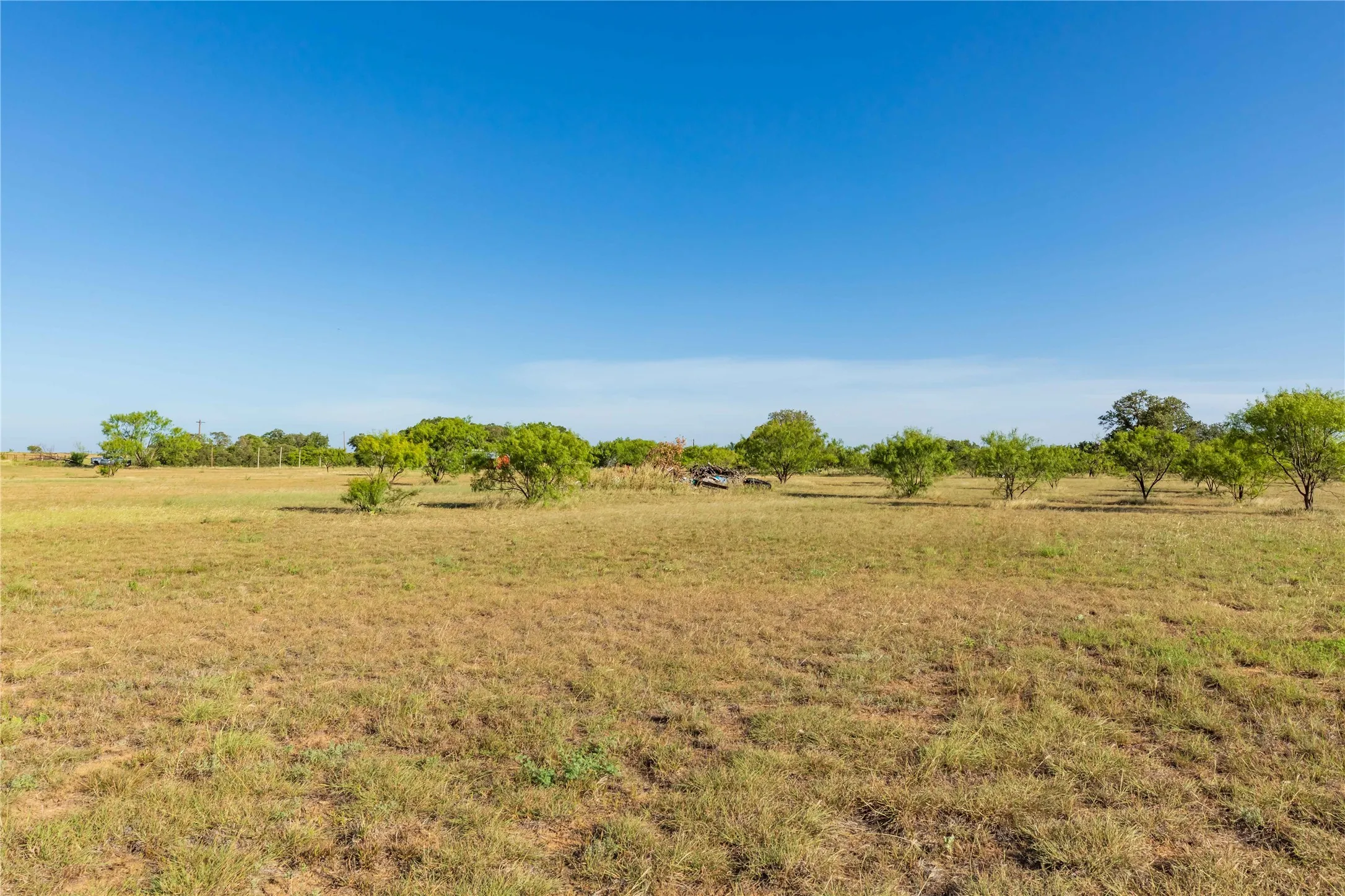 Unimproved Land For Sale in Jones County , FM FM 707, Anson, Texas 79501, 0, 0, Garage spaces, 0 Sqft, built in 0, Price $130,000, mls#21346606, Real Estate Agent in Anson, Homes For Sale in Jones county, Homes For Sale in Anson, Realtor in Anson Texas, Real Estate Brokerage Independent Realty Texas, Luminita Cordes Realtor