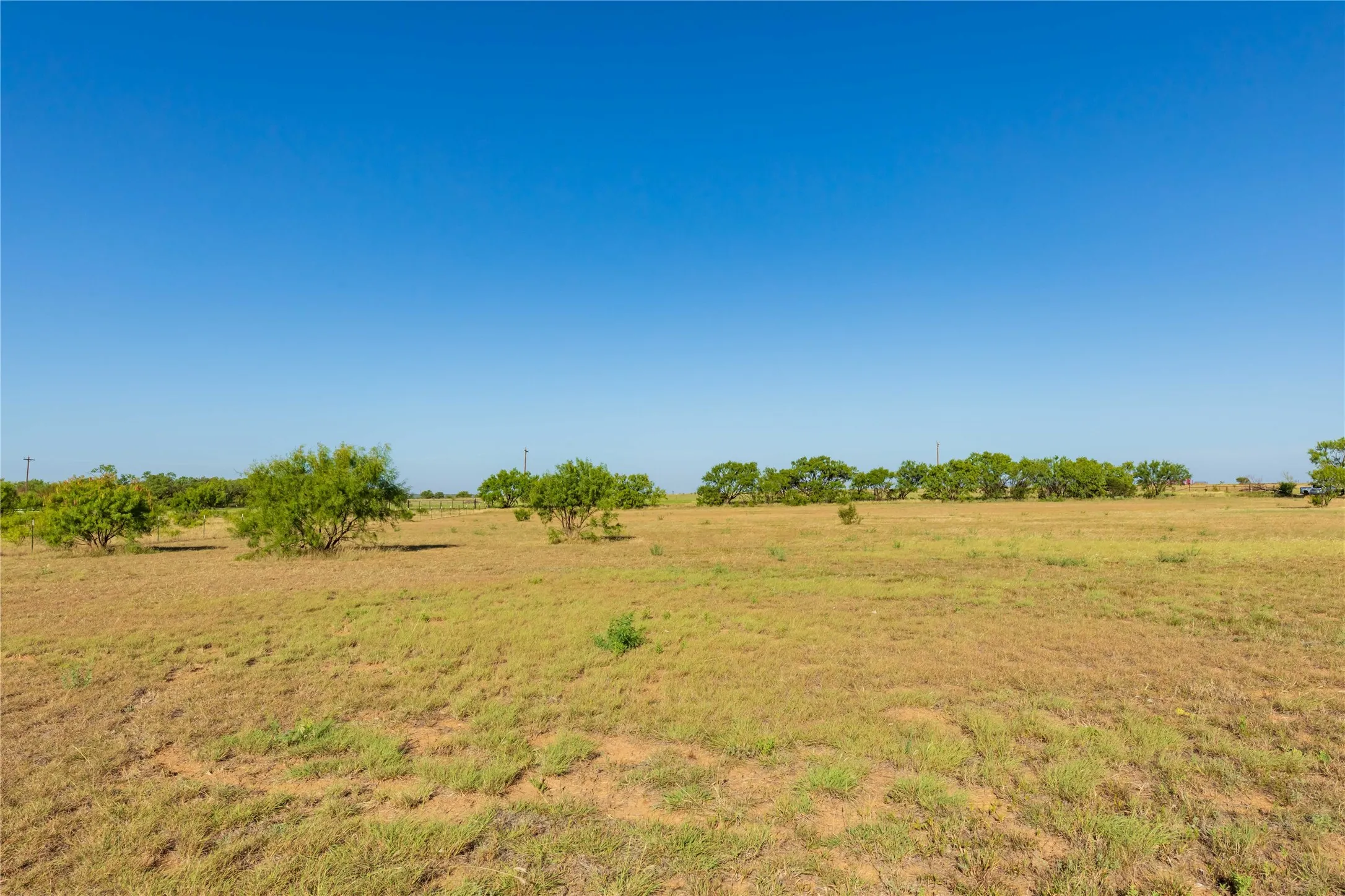 Unimproved Land For Sale in Jones County , FM FM 707, Anson, Texas 79501, 0, 0, Garage spaces, 0 Sqft, built in 0, Price $130,000, mls#21346606, Real Estate Agent in Anson, Homes For Sale in Jones county, Homes For Sale in Anson, Realtor in Anson Texas, Real Estate Brokerage Independent Realty Texas, Luminita Cordes Realtor