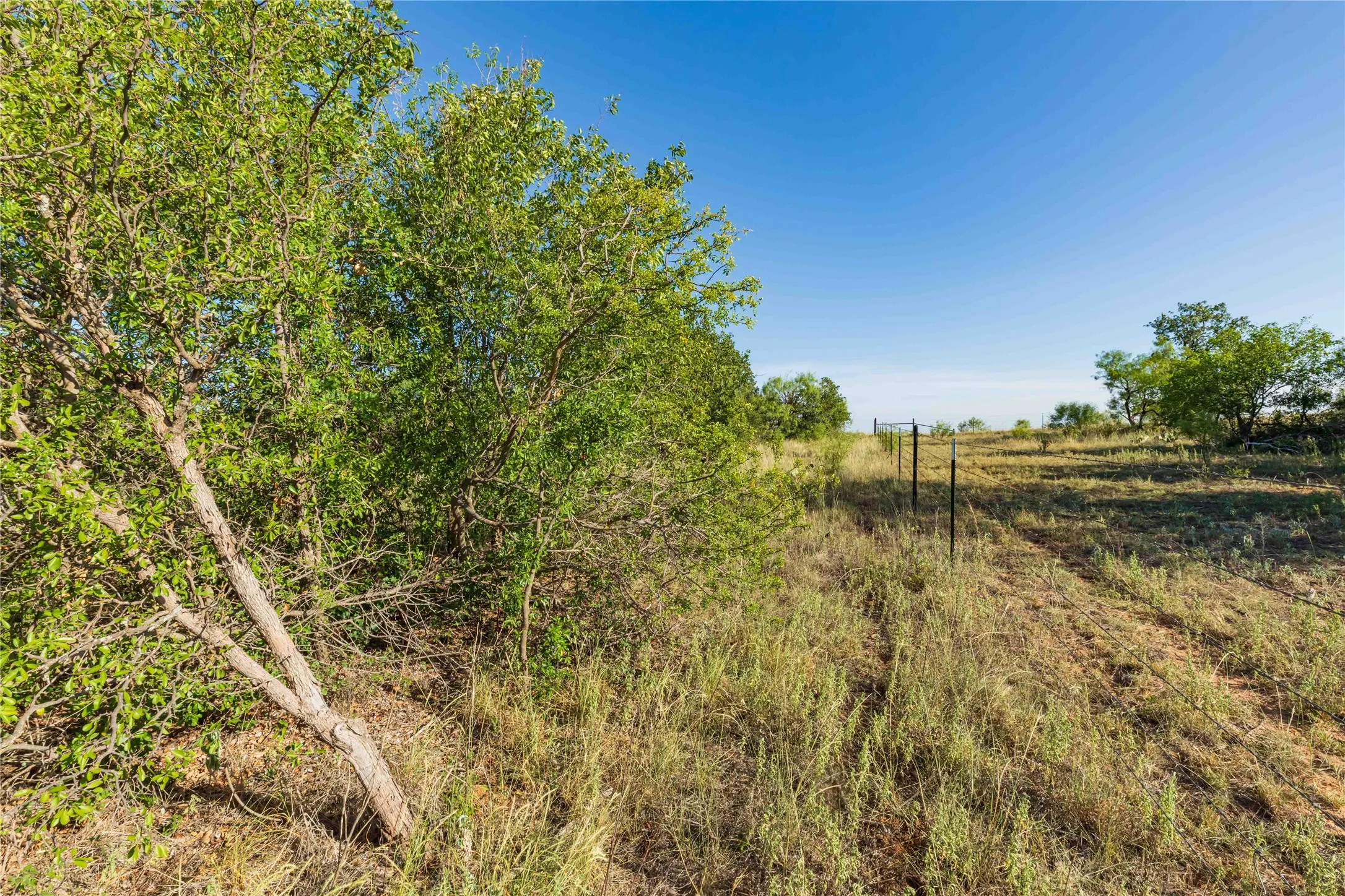 Unimproved Land For Sale in Jones County , FM FM 707, Anson, Texas 79501, 0, 0, Garage spaces, 0 Sqft, built in 0, Price $130,000, mls#21346606, Real Estate Agent in Anson, Homes For Sale in Jones county, Homes For Sale in Anson, Realtor in Anson Texas, Real Estate Brokerage Independent Realty Texas, Luminita Cordes Realtor