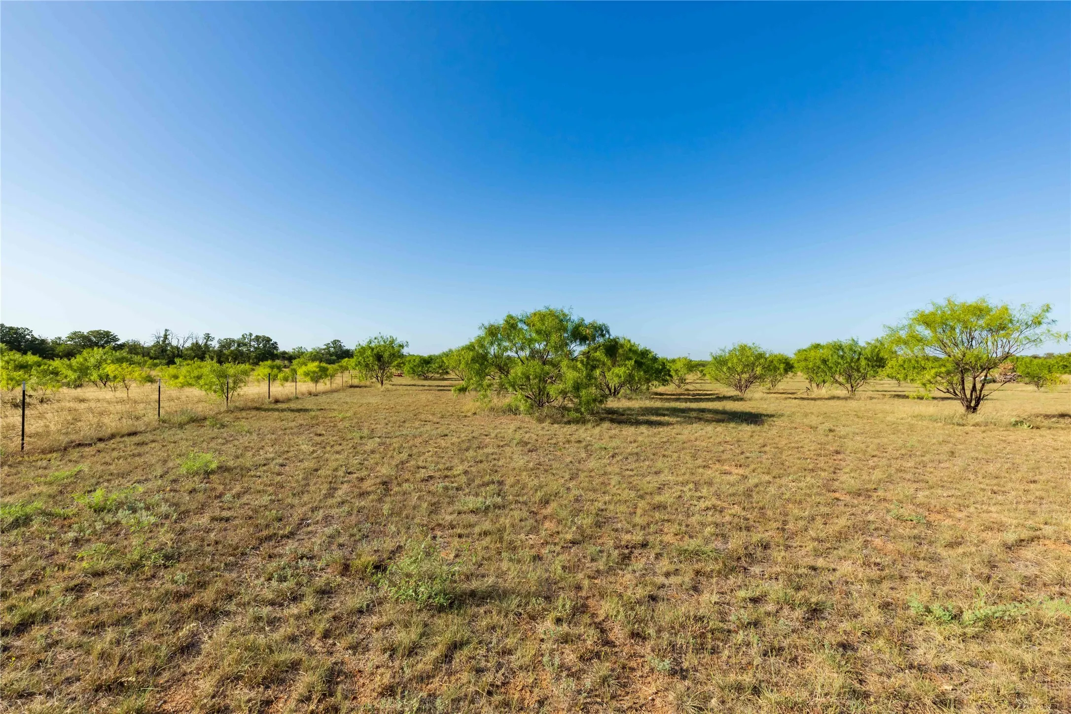 Unimproved Land For Sale in Jones County , FM FM 707, Anson, Texas 79501, 0, 0, Garage spaces, 0 Sqft, built in 0, Price $130,000, mls#21346606, Real Estate Agent in Anson, Homes For Sale in Jones county, Homes For Sale in Anson, Realtor in Anson Texas, Real Estate Brokerage Independent Realty Texas, Luminita Cordes Realtor