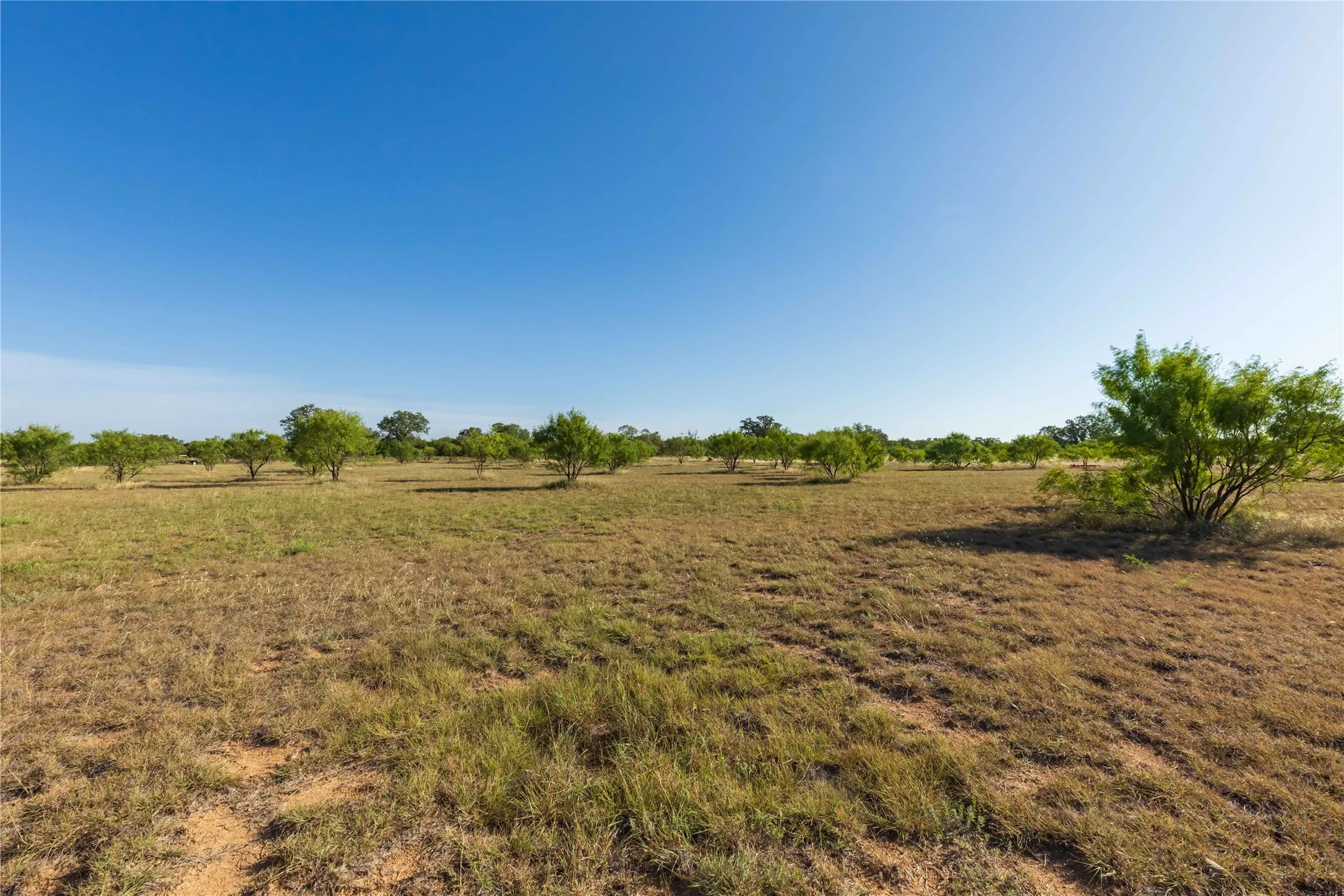 Unimproved Land For Sale in Jones County , FM FM 707, Anson, Texas 79501, 0, 0, Garage spaces, 0 Sqft, built in 0, Price $130,000, mls#21346606, Real Estate Agent in Anson, Homes For Sale in Jones county, Homes For Sale in Anson, Realtor in Anson Texas, Real Estate Brokerage Independent Realty Texas, Luminita Cordes Realtor