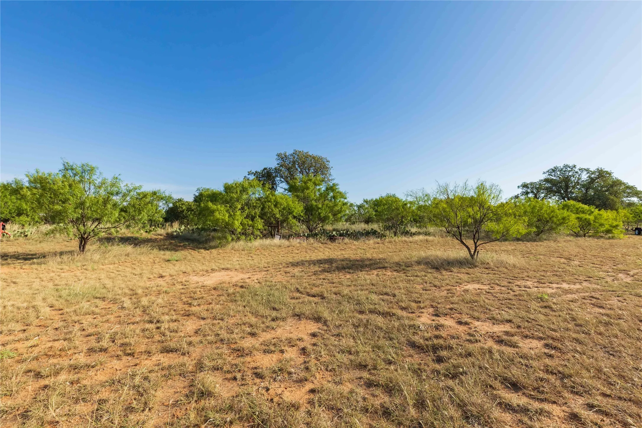Unimproved Land For Sale in Jones County , FM FM 707, Anson, Texas 79501, 0, 0, Garage spaces, 0 Sqft, built in 0, Price $130,000, mls#21346606, Real Estate Agent in Anson, Homes For Sale in Jones county, Homes For Sale in Anson, Realtor in Anson Texas, Real Estate Brokerage Independent Realty Texas, Luminita Cordes Realtor